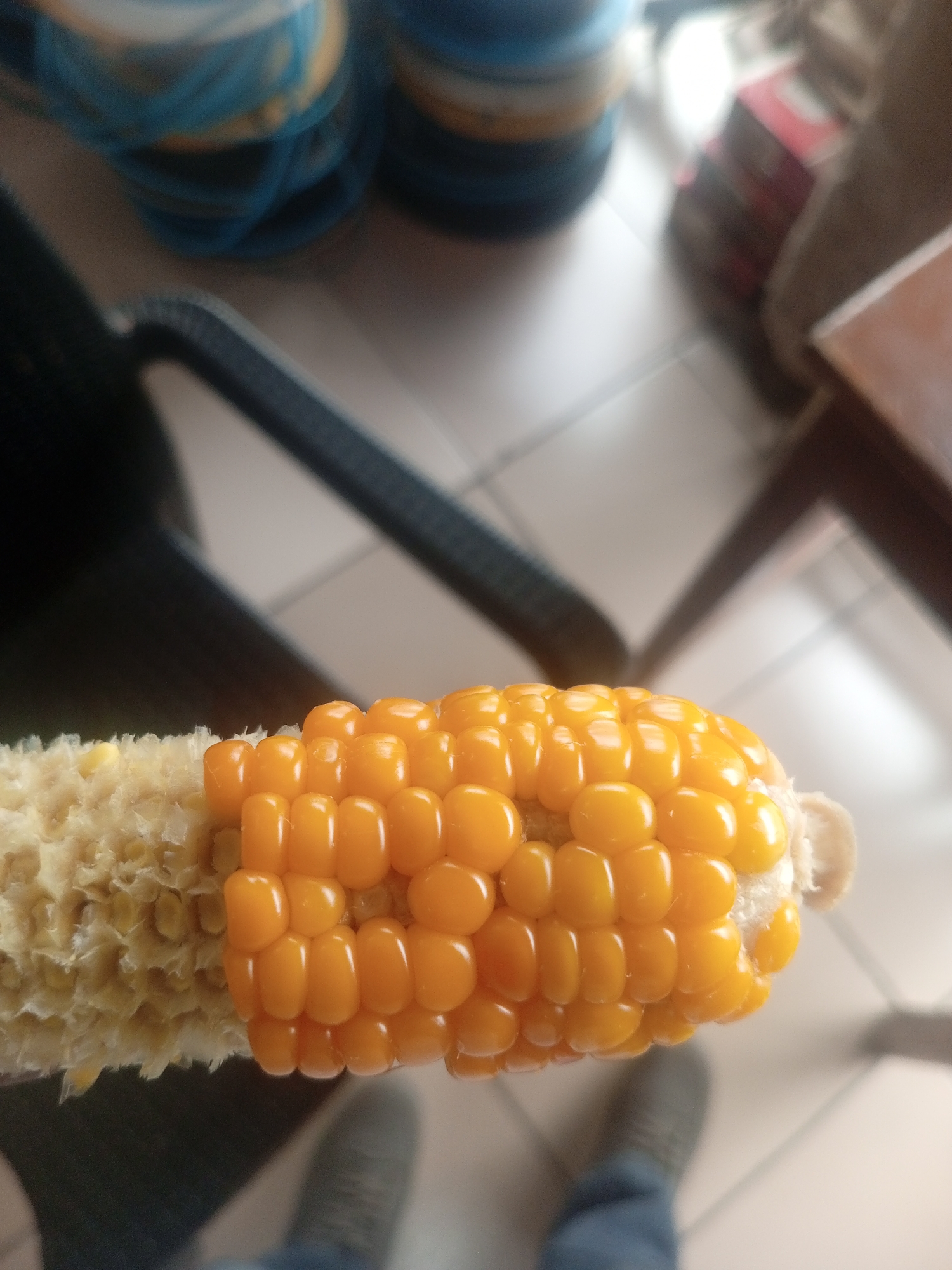 In Sardauna, Nigeria, a close-up, eye-level shot focuses on a partially eaten cob of corn. The cob, with its bright yellow kernels, is positioned horizontally across the frame, with the kernels closest to the viewer appearing plump and well-defined. The cob's base is stripped bare, revealing the white fibrous cob structure. In the background, out of focus, are various objects. To the left, the top of a dark, ribbed chair is visible. Further back, two large cylindrical objects, possibly spools of yarn or similar materials, exhibit bands of blue and yellow. To the right, a brown wooden table surface is partially visible. The floor appears to be tiled in a light color. A hint of someone's legs, clad in blue jeans and gray shoes, is visible at the bottom of the frame, suggesting the presence of a person.