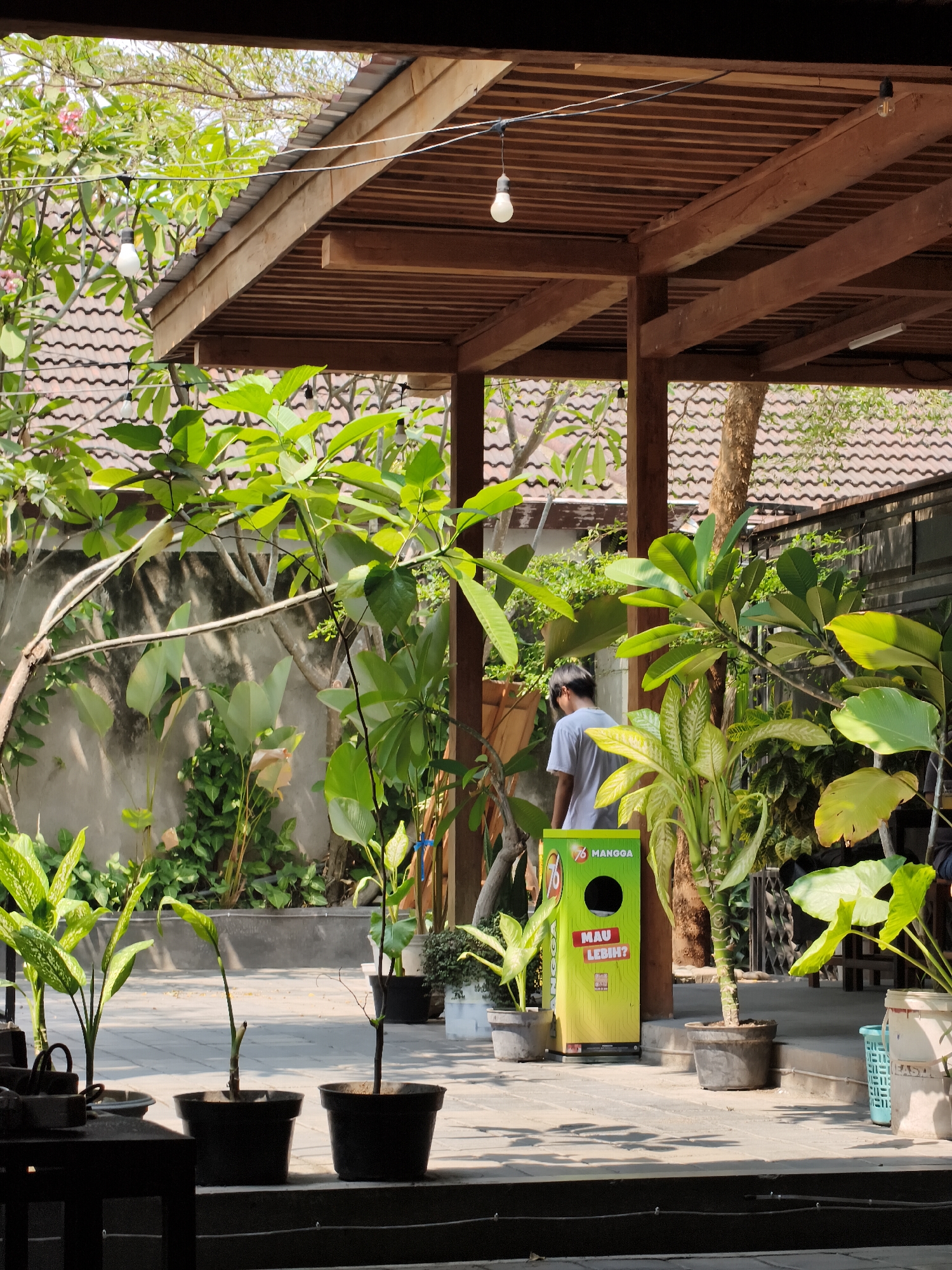 A man wearing a white t-shirt stands under a wooden-roofed structure, his back to the camera, looking at a bright green trash bin. The bin has a circular opening and text that reads "MANGO" and "MAU LEBIH?". Potted plants are arranged on the paved ground, some in black pots and others in grey. Behind the man, a wall and more greenery are visible. The scene appears to be outdoors, possibly a cafe or restaurant patio, in Nologaten, Indonesia, indicated by the presence of local brands on the trash bin. Sunlight casts shadows on the ground.