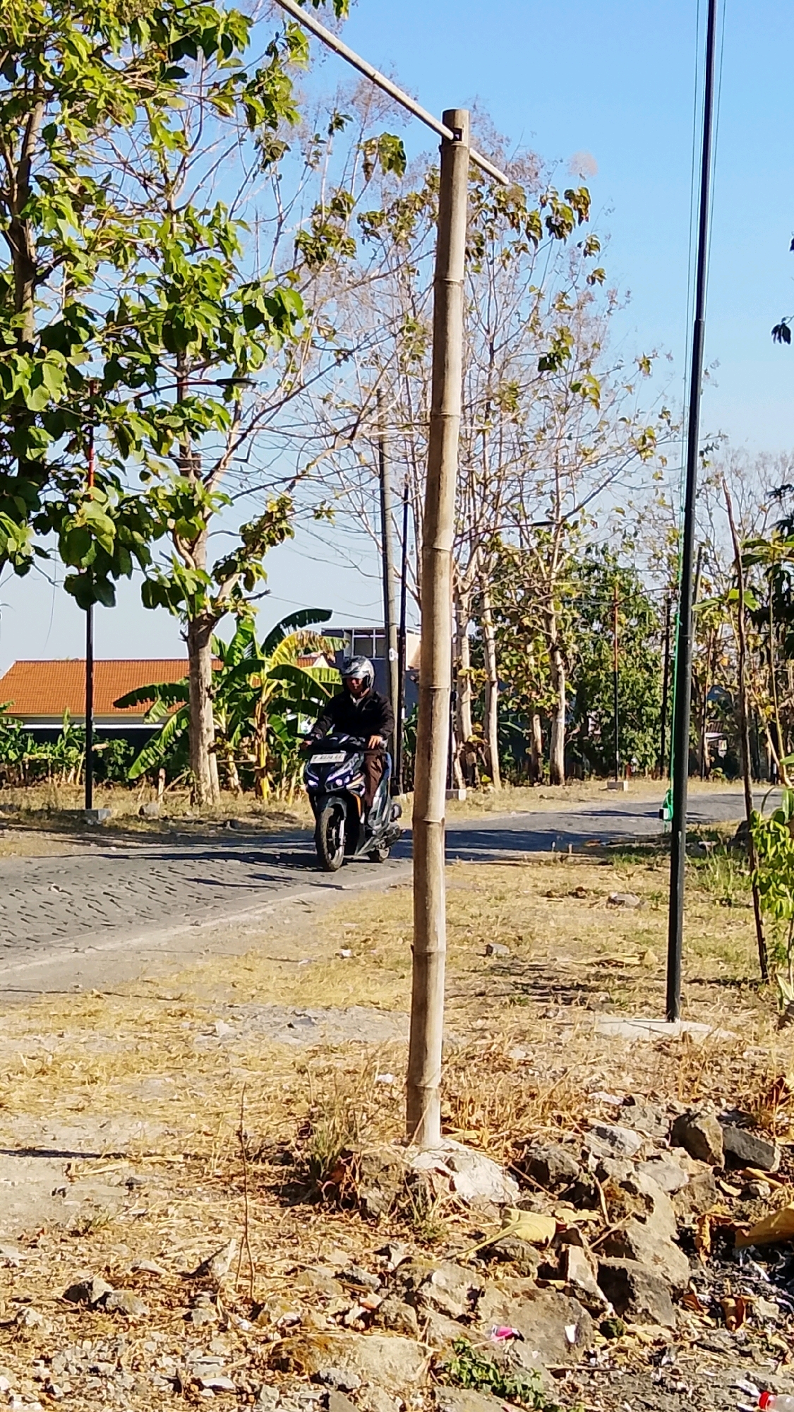 A person wearing a helmet and a dark jacket rides a black and orange scooter on a paved road. The scooter has a license plate that reads "W 6524 AE". The person is positioned in the center of the road, heading towards the viewer. The road is bordered by dry grass and some rocks. In the background, there are several trees with sparse foliage, some banana trees, and a building with a reddish-brown roof. Two vertical bamboo poles with a horizontal metal bar between them stand prominently in the foreground, to the left and right of the scooter. Another tall, dark pole is visible on the right side of the frame. The sky is clear and blue. The scene appears to be outdoors in a rural or semi-rural setting, possibly in Dahanrejo, Indonesia, given the presence of tropical vegetation and architectural style.