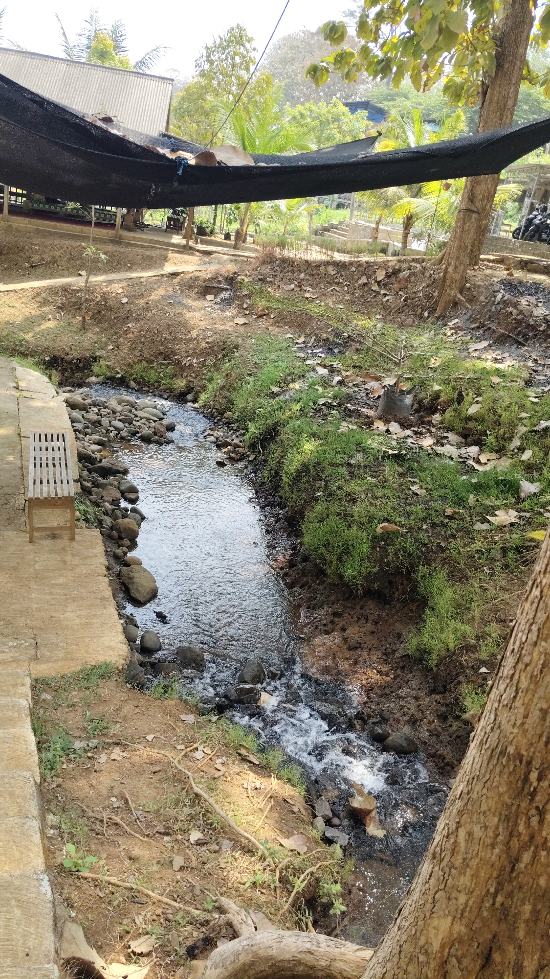The image depicts a shallow, rocky stream flowing through a natural environment. A concrete path runs alongside the left bank of the stream, featuring a simple wooden bench. The surrounding area is characterized by dry earth, scattered leaves, and patches of green grass. Several trees are visible, with one prominently in the foreground to the right. In the background, a black mesh tarp is stretched over some structures, and there are hints of buildings and foliage. The scene appears to be located outdoors, possibly in a park or a natural recreational area, consistent with descriptions of Kresek, Indonesia.