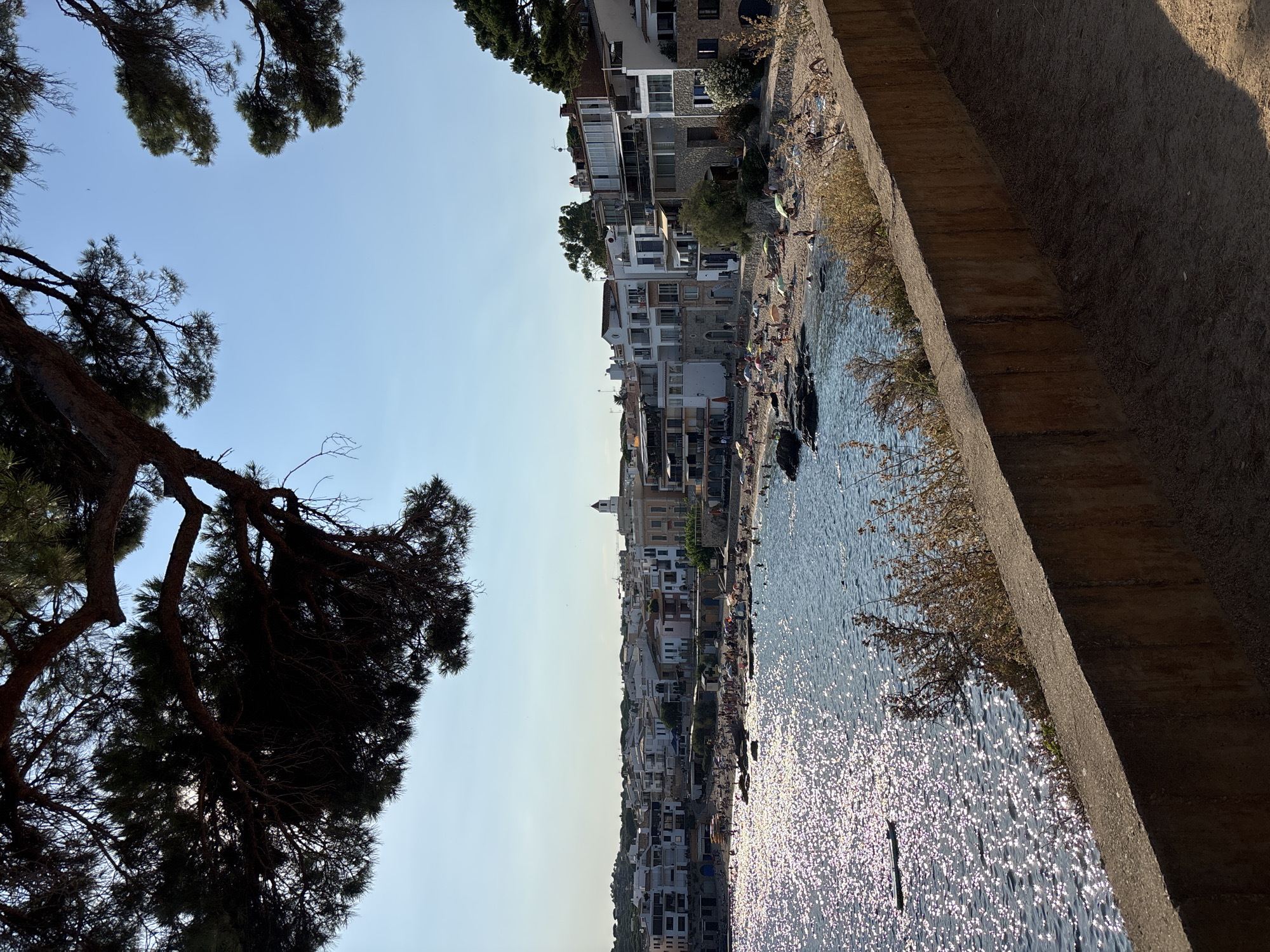 The image captures a coastal scene in Calella De Palafrugell, Spain, on a sunny day. In the foreground, a textured, brown concrete wall runs horizontally, casting a shadow on a sandy path below. Above the wall, the deep blue sea sparkles intensely with sunlight reflecting off its surface. A small, dark rectangular object, possibly a buoy or a small boat, floats on the water.
Beyond the water, a crescent-shaped beach is populated with numerous people, many lying on towels or under colorful umbrellas. The beach is backed by a dense row of whitewashed buildings with terracotta roofs, characteristic of the Mediterranean architectural style. Some buildings feature balconies and windows, and one taller building has a distinctive tower with a white cupola. Green trees and vegetation dot the landscape, especially on the hills behind the town.
The upper portion of the image is dominated by the dark, silhouetted branches and needles of a large pine tree, its foliage creating a natural frame for the scene below. The sky is a clear, bright blue. The overall impression is a lively beach town scene, bathed in warm sunlight.
