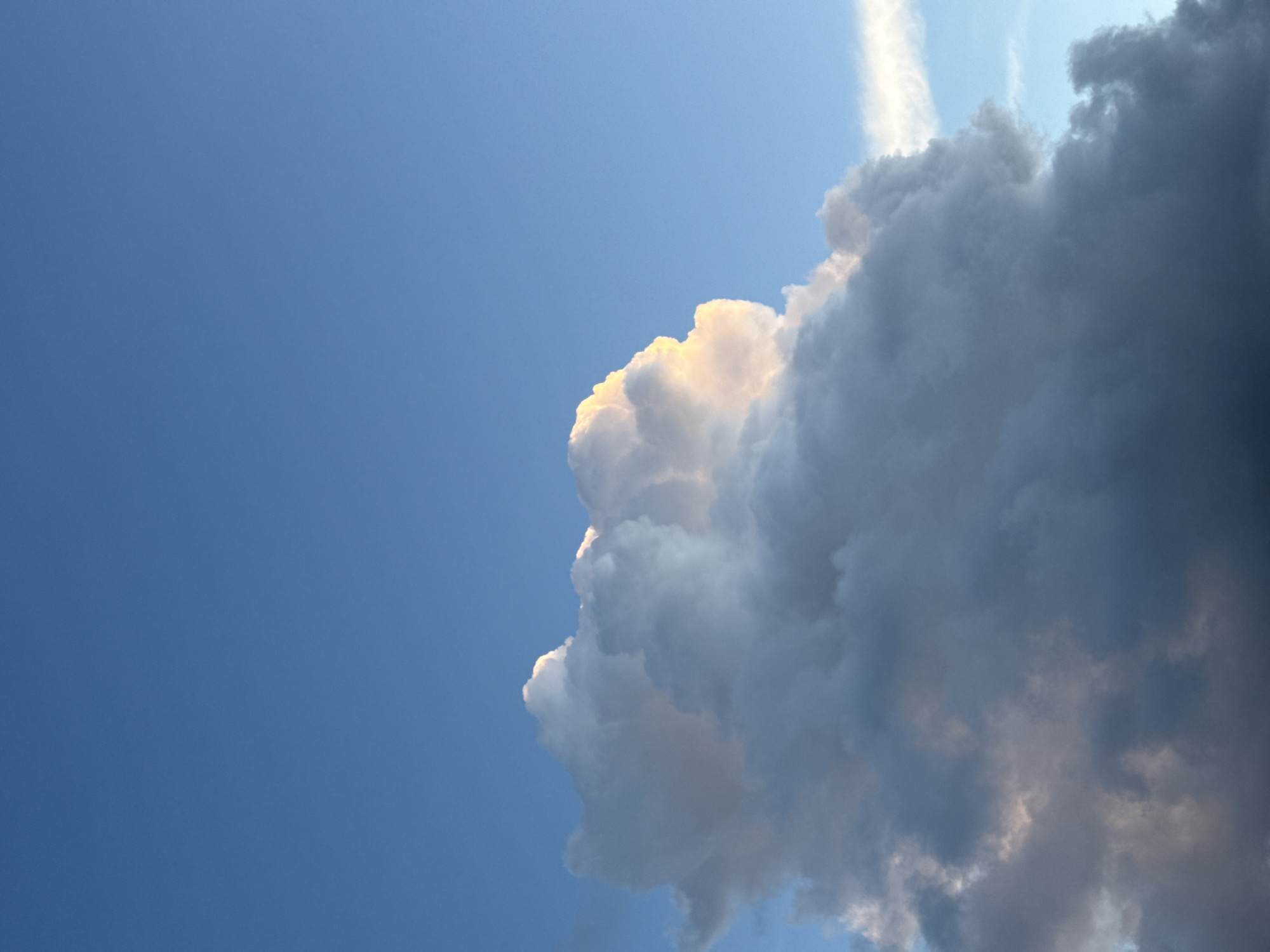 The image captures a large, vertically developed cloud formation, consistent with a cumulonimbus cloud, dominating the lower two-thirds of the frame. The upper and rightmost edges of the cloud exhibit bright, golden-white illumination from direct sunlight, contrasting with the predominantly darker grey and bluish-grey tones of the cloud's shadowed or denser portions. The upper third of the image features a clear, deep blue sky. A thin, elongated white cloud streak is visible against the blue sky on the far right. No people, man-made objects, or ground-level features are present within the frame. The scene is an atmospheric phenomenon observed from the city of Tel-Aviv, Israel, depicting the interplay of sunlight and cloud mass. No specific actions or interactions beyond natural atmospheric conditions are depicted.