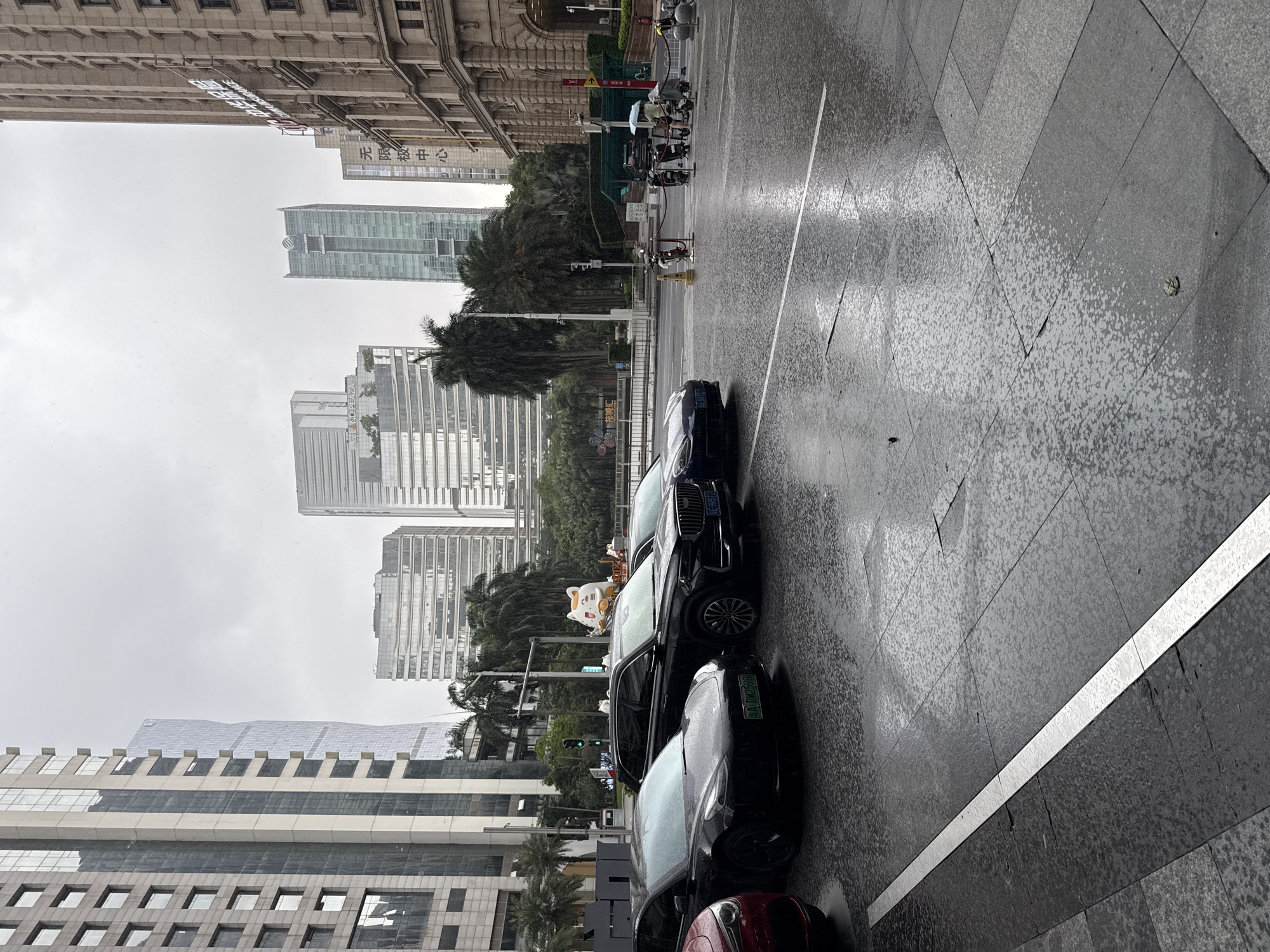 A wet, overcast street scene in Tianhe District, China, features parked cars and pedestrian walkways. Several vehicles, including a black Tesla and a black SUV, are parked parallel to the curb. The street and sidewalk are slick with rain, reflecting the surrounding buildings. In the background, modern skyscrapers with glass facades dominate the skyline. To the right, a traditional-looking stone building with ornate architectural details stands. Palm trees are visible interspersed among the buildings. A few individuals are seen in the distance, including a person holding a white umbrella and others near parked scooters. Decorative cat figures are also placed on a barrier in the mid-ground. The overall atmosphere is muted due to the cloudy weather.
