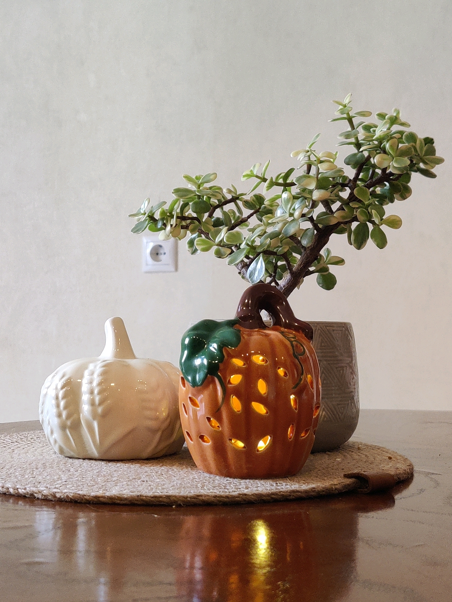 A still life scene features two ceramic pumpkin decorations and a potted plant on a wooden table. The pumpkin on the left is white and has a ribbed texture, resembling a real pumpkin. The pumpkin on the right is orange and has cutouts that glow with a warm light, suggesting it is a candle holder. A green stem and leaf are attached to the top of the orange pumpkin. Behind the pumpkins is a textured gray pot holding a small, leafy plant with variegated green and white leaves. The plant is positioned so that its branches extend upwards and to the right. The objects are placed on a round, woven placemat. The background is a plain, light-colored wall with a white electrical outlet visible. The table surface is dark and highly reflective, mirroring the light from the orange pumpkin. The scene is indoors, and the lighting appears to be soft and ambient. There are no people visible in the image, and no actions are taking place. The location is not specified in the image.