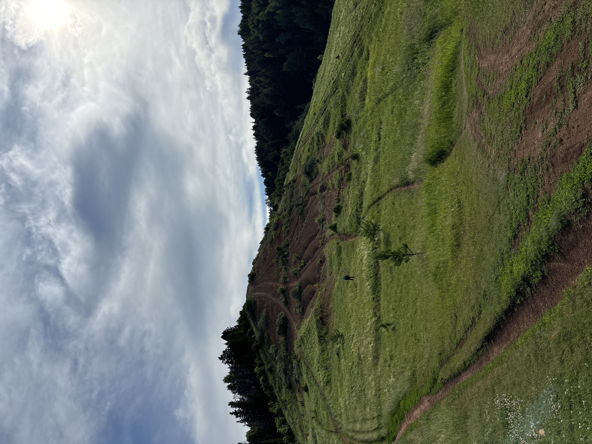 The image depicts a hilly, green landscape with a prominent bare, reddish-brown hill in the center. The hill is crisscrossed with paths, some of which show signs of erosion. A lone figure, dressed in dark clothing, stands on the lower slopes of the hill. The surrounding terrain is covered in tall, lush green grass with scattered small trees. A dense forest line forms the background on the right and top of the image, contrasting with the lighter green of the meadow. The sky is partly cloudy with patches of blue sky and sunlight breaking through. The location is identified as Olkhovka, Russia.