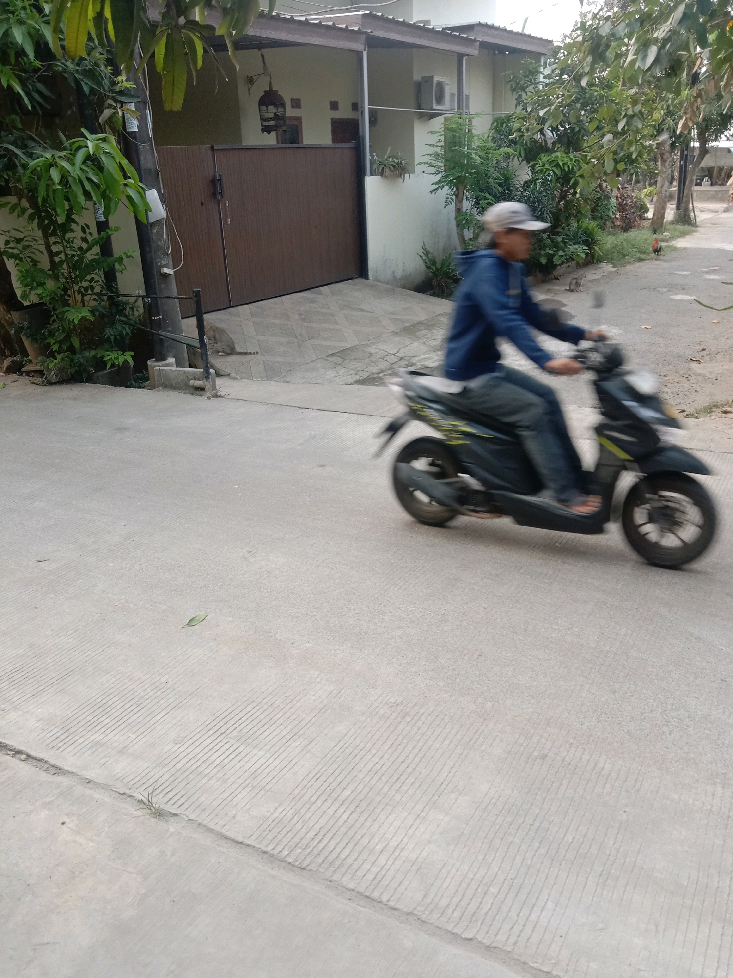 A person wearing a blue hoodie and a grey cap rides a black scooter down a paved road in Tajurhalang, Indonesia. The scooter has yellow and green accents. The rider's legs are visible, and they appear to be wearing blue jeans and sandals. The scene is outdoors, with trees and vegetation lining the right side of the road. A house with a brown gate is visible on the left side of the road, partially obscured by trees. The road surface is concrete with grooved lines. In the background, a red rooster and a grey cat are on the side of the road. The image is slightly blurred, indicating movement.