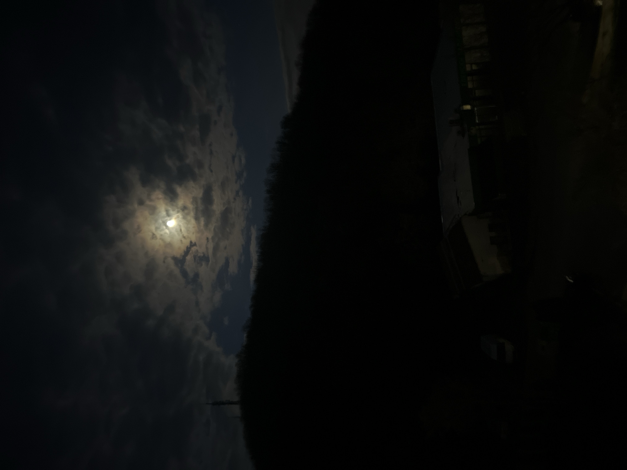 A nighttime shot showing the moon illuminating a cloudy sky, with a dark silhouette of trees and foliage obscuring a significant portion of the scene. On the right side of the frame, there are vague outlines of buildings and possibly a body of water. Given the information, it's plausible that this scene could be in or near Elena, Bulgaria, considering the presence of trees, a potentially rural or semi-rural landscape, and the overcast night sky. It's difficult to provide further forensic detail without more visual clarity.