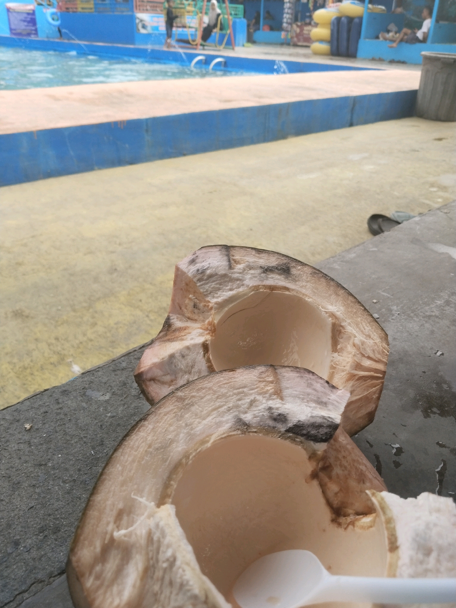 In Batukuwung, Indonesia, two halved coconuts rest on a gray ledge, their interiors filled with coconut water. One coconut is cut in half lengthwise, revealing its hollow interior. The other coconut is also halved lengthwise, with a white spoon resting inside it. In the background, a swimming pool with blue edges is visible. People are present in the background near the pool, some sitting on benches and others standing. The ground surrounding the pool is paved with yellow concrete. A trash can is situated to the right of the frame.