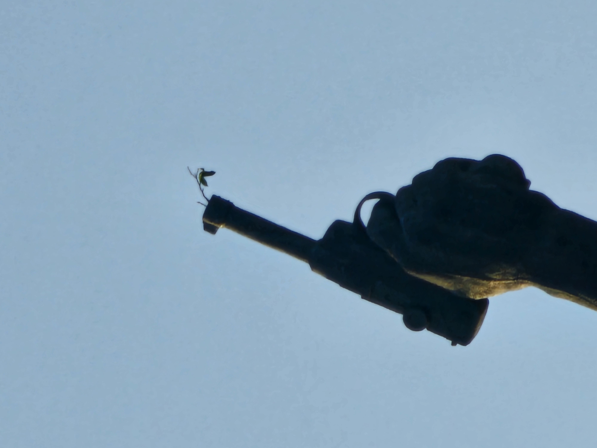 A close-up, low-angle shot captures a silhouette of a clenched fist holding an old-fashioned pistol against a pale blue sky. A small, delicate green sprig with two leaves emerges from the barrel of the pistol, contrasting sharply with the dark metal. The statue is a monument, likely representing a past conflict or uprising. The detail of the fist suggests strength and determination, while the sprig symbolizes peace or life emerging from violence. The monument is located in Denpasar, Bali, Indonesia, a city with a rich history and a complex relationship with its past.