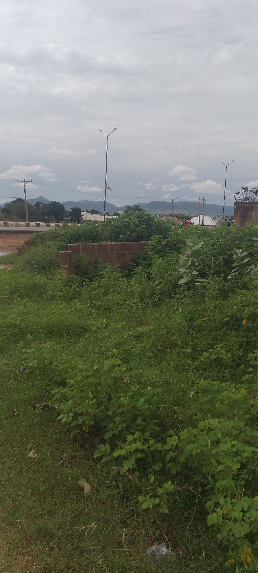 This image shows an overcast sky over a landscape in Jalingo, Nigeria. In the foreground, there is dense green vegetation and grass, with some litter visible. A low, partially constructed brick wall is present within the greenery. Beyond the vegetation, a road is visible with a concrete barrier. Several lamp posts are scattered throughout the scene, with one prominently displaying a flag. In the background, there are hills and mountains, and some buildings and power lines suggest a populated area. The overall impression is that of a semi-urban or rural setting under cloudy skies.