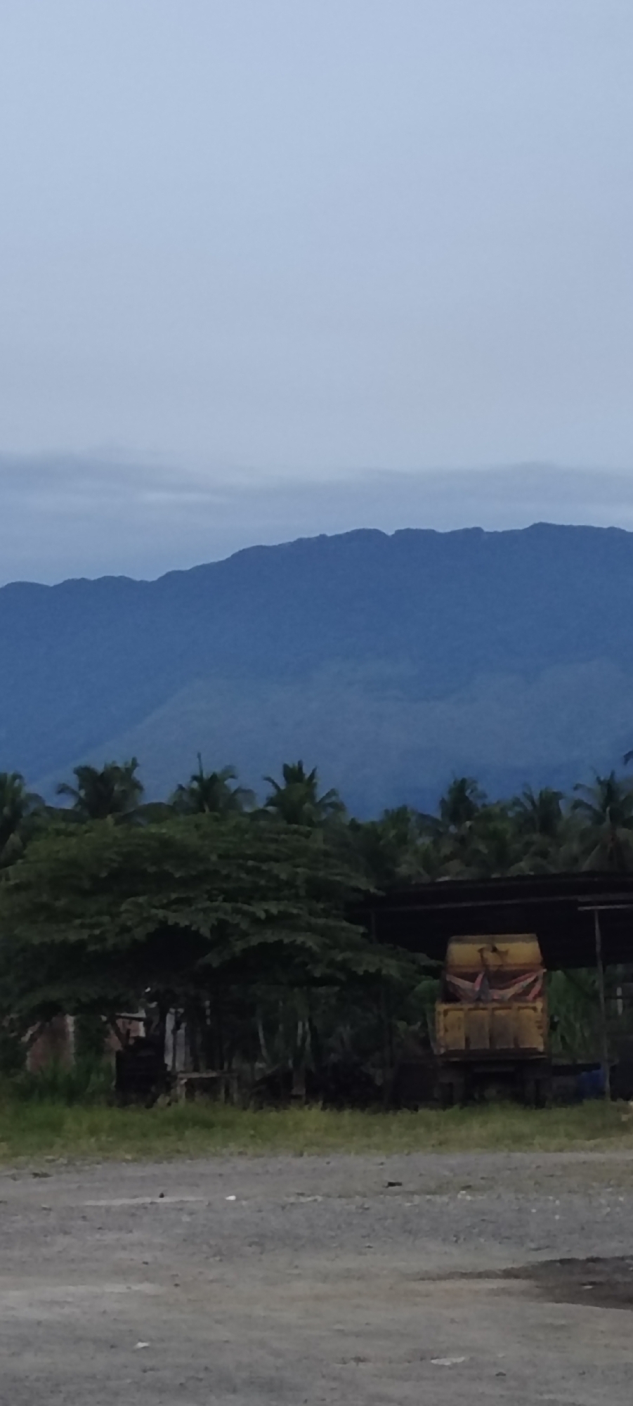 The image depicts a landscape scene with a large mountain range in the background, shrouded in a hazy, blue-grey atmosphere. In the midground, lush green trees, including palm trees, form a dense foliage. Partially obscured by the trees is a yellow truck, loaded with what appears to be sacks or bales covered with a red tarp. The truck is parked under a simple, open-air structure with a dark roof. In the foreground, a rough, gravelly surface stretches across the scene. The overall setting suggests a rural or semi-rural environment, possibly on the outskirts of Reuhattuha, Indonesia, given the tropical vegetation and the presence of a truck which could be involved in local logistics or agriculture. The sky is overcast and a pale blue, contributing to the muted tones of the image.