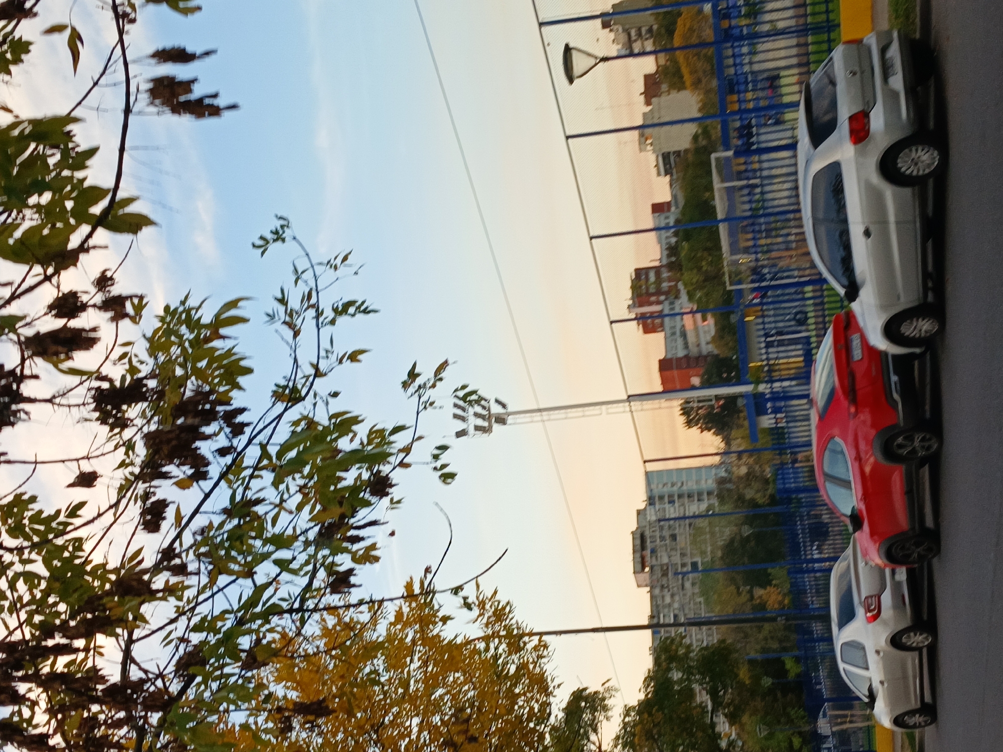 The image depicts a street scene in Buenos Aires, Argentina. The sky is visible with trees in the foreground. In the background are city buildings, and a fence along a sidewalk with three cars parked. The cars are white, red, and white, parked along the sidewalk.