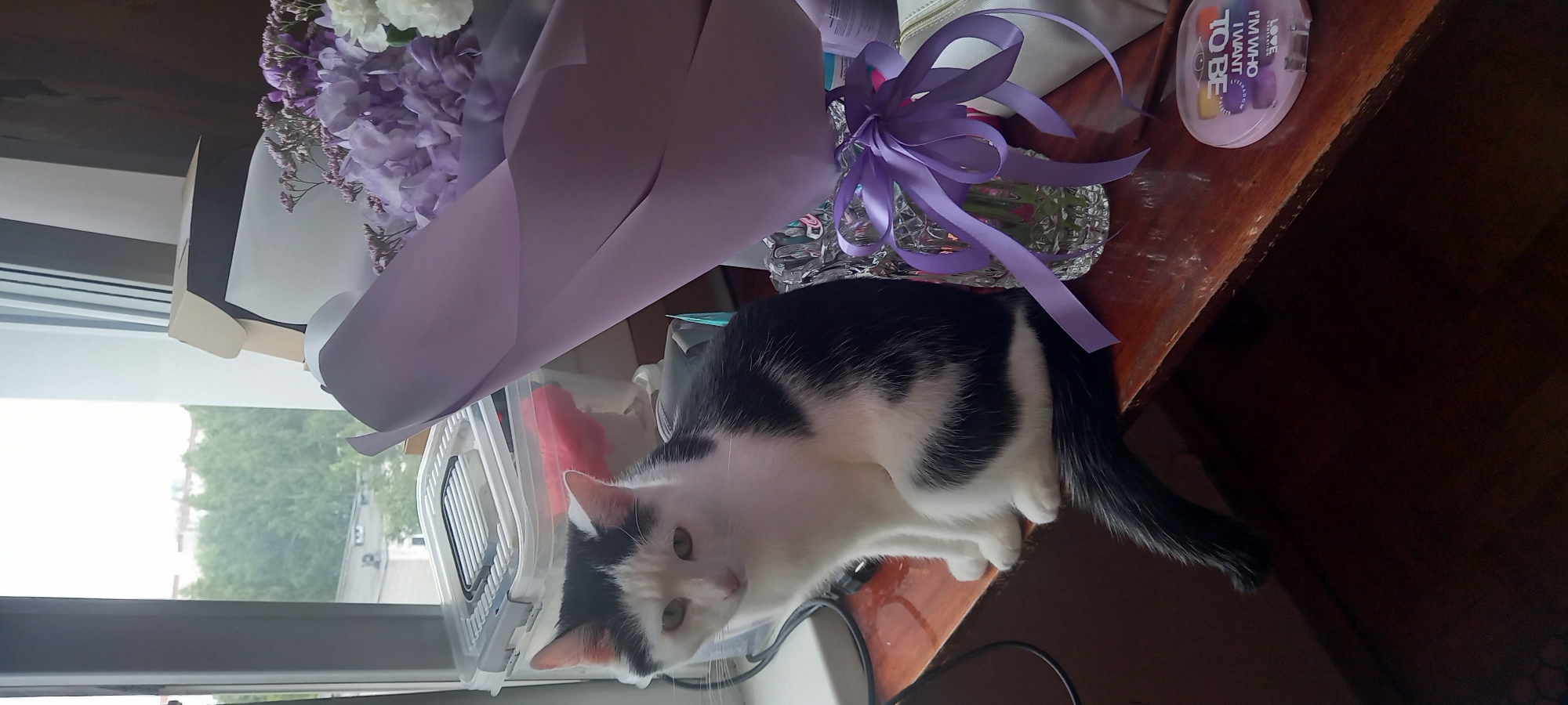 A black and white cat is sitting on a wooden shelf next to a bouquet of flowers wrapped in purple paper. The cat is facing left, with its body angled towards the viewer. The bouquet contains purple and white flowers. Next to the bouquet is a glass vase with a purple ribbon tied around it. In the background, there is a window with a view of trees and buildings. The scene appears to be indoors, on a shelf near a window. The overall lighting is natural, coming from the window.