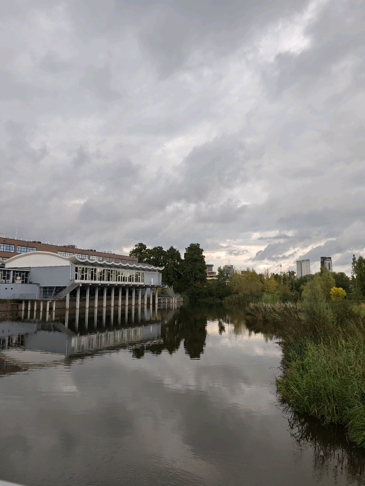 The image depicts a cloudy day in Eindhoven, Netherlands, likely at the former Philips Sports Park (PSV) campus, near the Dommel river. In the foreground, a wide, dark river with a glassy surface reflects the overcast sky and the surrounding environment. The right bank of the river is lined with dense, green reeds and other vegetation.
Dominating the left side of the frame is a modern, multi-story building with a distinctive wavy roofline. This building, supported by numerous white columns, features a façade composed of large glass windows and darker architectural elements. The building's reflection is clearly visible on the water's surface.
In the background, across the river and to the right of the modern building, a line of trees with autumn foliage (hints of yellow) separates the river from a distant urban skyline. This skyline includes several high-rise buildings, suggesting a city setting. The sky is heavily clouded, with varying shades of gray and lighter patches indicating diffused sunlight. No people are visible in the scene.