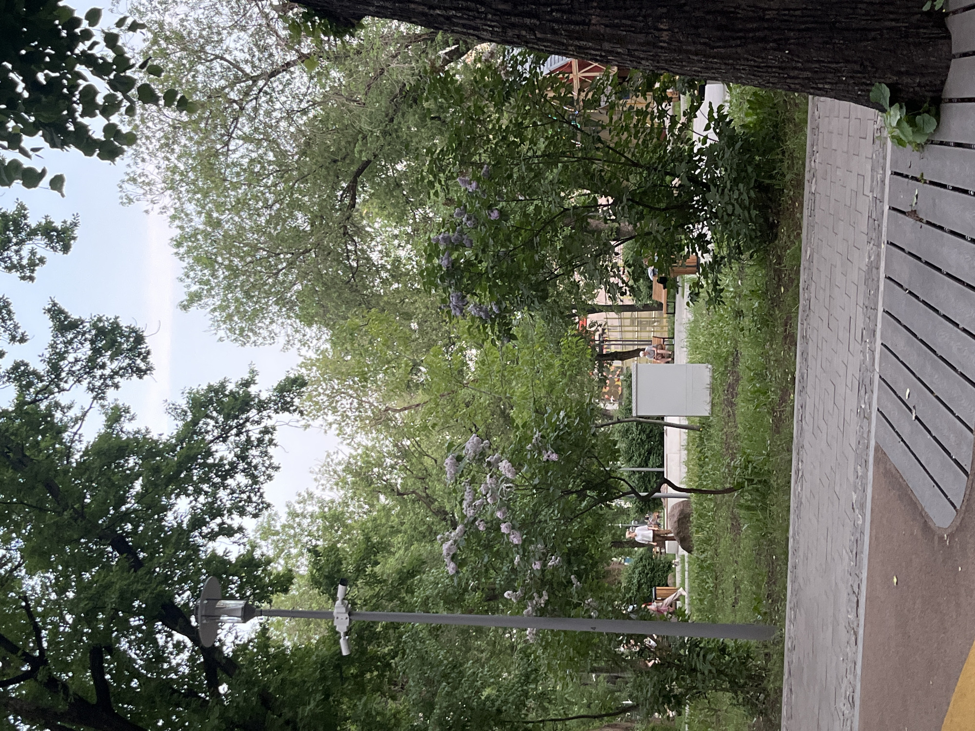 The image shows a park in Moscow, Russia. A paved walkway runs along the right side, bordered by a wooden bench. Trees and lilac bushes fill the scene. A lamppost with a security camera is visible on the left. In the background, people are sitting on benches.