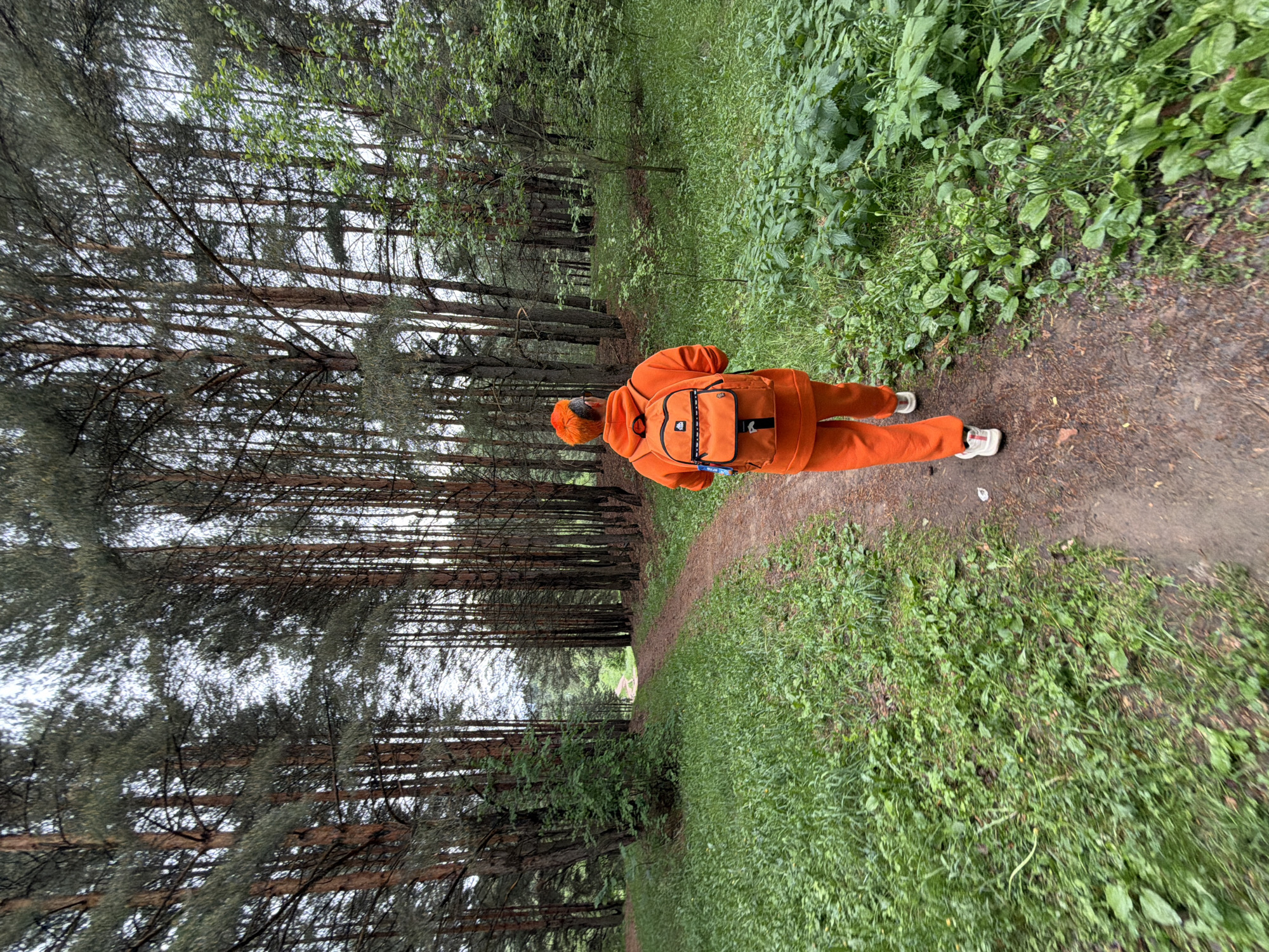 A person dressed in bright orange clothing and wearing a matching backpack is walking on a dirt path through a forest. The path is lined with tall pine trees on the left and dense green foliage on the right. The location is a forest path, possibly within a park or natural area, in the city of Chaikovsky, Russia. The person is walking away from the viewer down the path.