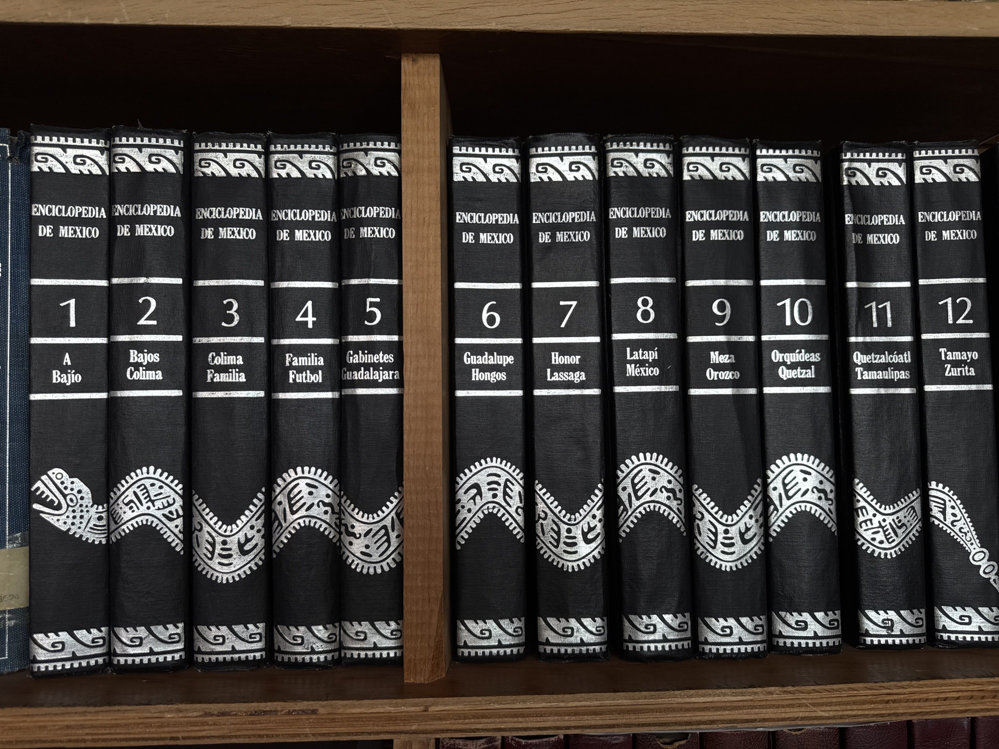 The image shows a shelf filled with the "Enciclopedia de Mexico" volumes numbered from 1 to 12. The books are black with silver ornate designs and lettering. The environment is a wooden bookshelf, likely inside a private library or study. The scene suggests a collection of encyclopedic volumes focused on Mexico. There is no information in the image to associate it with the city of Mexico City, Mexico.