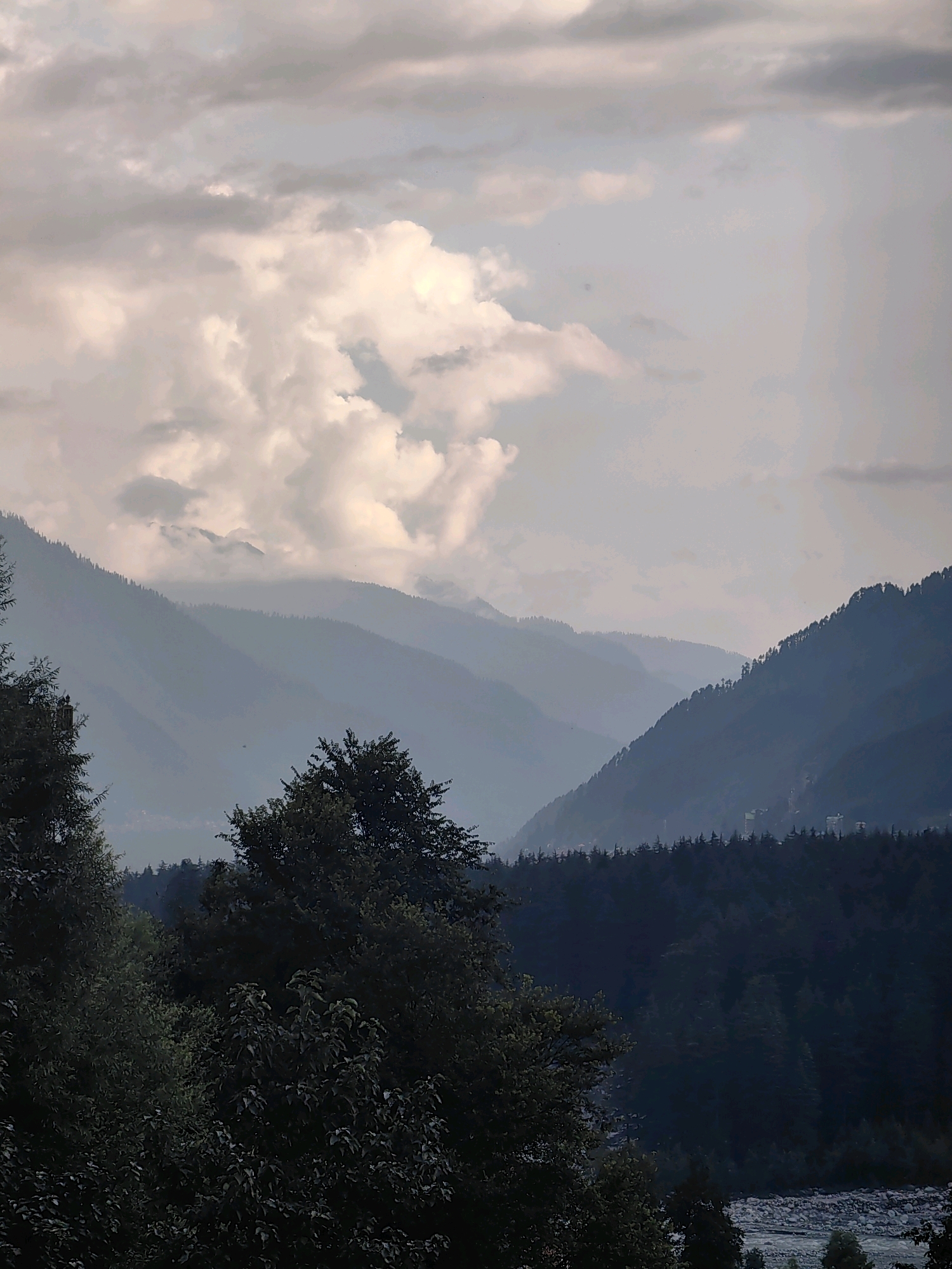 The image captures a serene mountain landscape, likely in or around Vashisht, India, given the architectural hints of buildings nestled within the dense forested slopes. The foreground is dominated by lush, dark green foliage, with the branches of trees framing the view. Beyond this immediate greenery, layers of hazy blue mountains recede into the distance, creating a sense of depth and scale. The slopes are densely populated with trees, forming a textured carpet on the terrain.
The sky above is a dynamic canvas of clouds. Large, dramatic formations of white and grey clouds drift across a lighter, diffused sky, suggesting either the aftermath of rain or the approach of overcast weather. The lighting is soft and diffused, contributing to the tranquil atmosphere of the scene. In the far distance, a riverbed with visible rocks can be seen, hinting at the presence of flowing water within the valley. There are no visible people or animals in the frame, emphasizing the natural beauty and quietude of the location. The overall impression is one of natural grandeur and peaceful isolation.