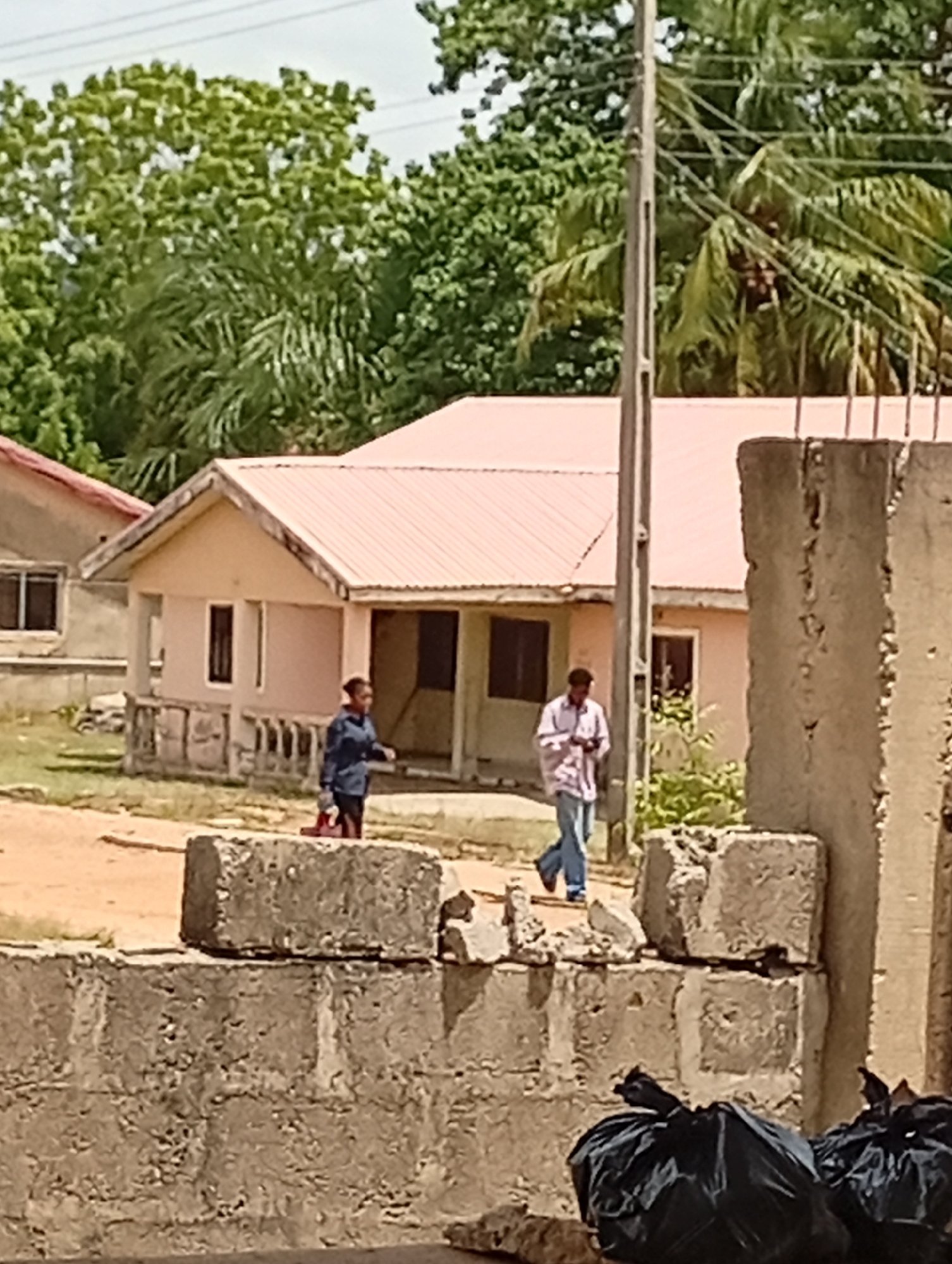 The image depicts a scene in an urban location, potentially in Unknown, Unknown. Two individuals are visible: one wearing a blue shirt and carrying a red bag, and the other in a white shirt and jeans, apparently walking in the same direction. They are situated in front of a pink house with a matching roof. A partial view of another building is on the left. The scene also includes a dilapidated concrete wall with a few missing blocks. Two black plastic bags are in the foreground and may contain trash. Vegetation, including trees and palm trees, provides a backdrop to the scene. An electrical pole stands prominently in the middle of the frame.