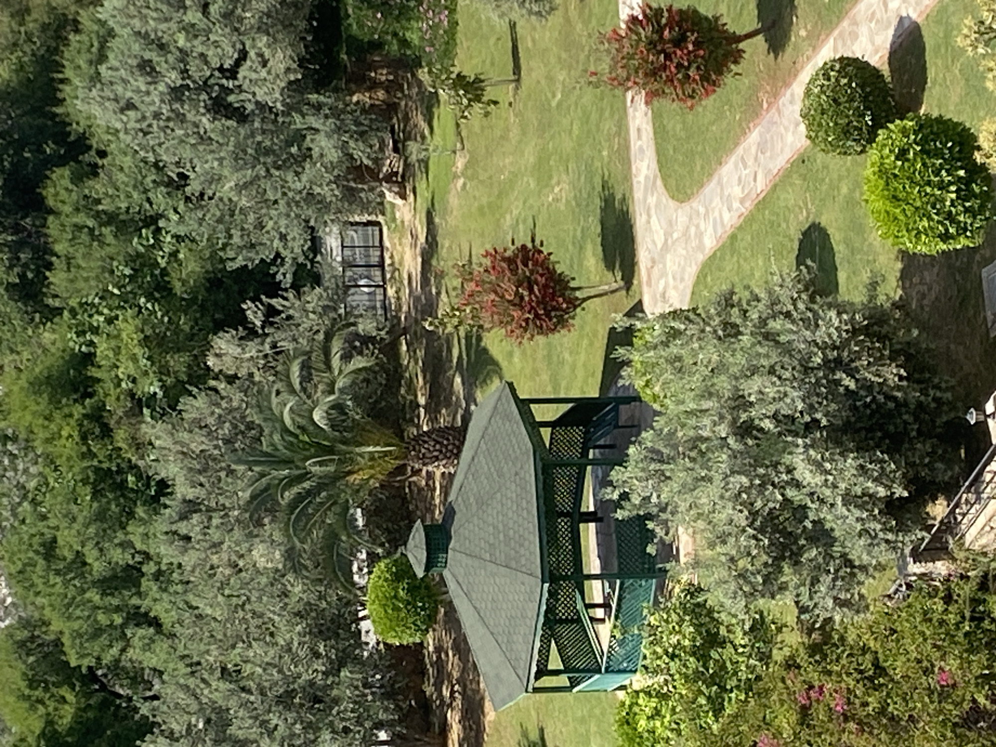 The image presents an overhead view of a well-maintained, lush green garden or park area, likely situated in Alanya, Turkey. The scene is bathed in bright sunlight, casting distinct shadows that indicate a clear, sunny daytime.
The most prominent feature is a dark green hexagonal gazebo with a matching roof, located in the lower-middle portion of the image. Its sides feature a lattice-like pattern. Surrounding the gazebo and extending across much of the scene is dense vegetation, primarily consisting of various types of trees and shrubs. A large palm tree is visible near the gazebo on the left, alongside other tall, leafy trees.
A winding, light-colored stone pathway meanders through a grassy area in the upper right section of the image. This path is flanked by neatly manicured green bushes, including two rounded ones, and several trees with reddish-brown foliage. More green grass covers the open areas of the garden.
In the background on the left, a building with rectangular window frames is partially visible through the thick tree cover. On the far right, part of another structure, possibly a balcony with railings, can be seen amidst more trees and flowering shrubs displaying pink blooms.
No people are visible, and there is no discernible text in the image. The overall impression is one of serenity and natural beauty, consistent with a landscaped resort or private garden.