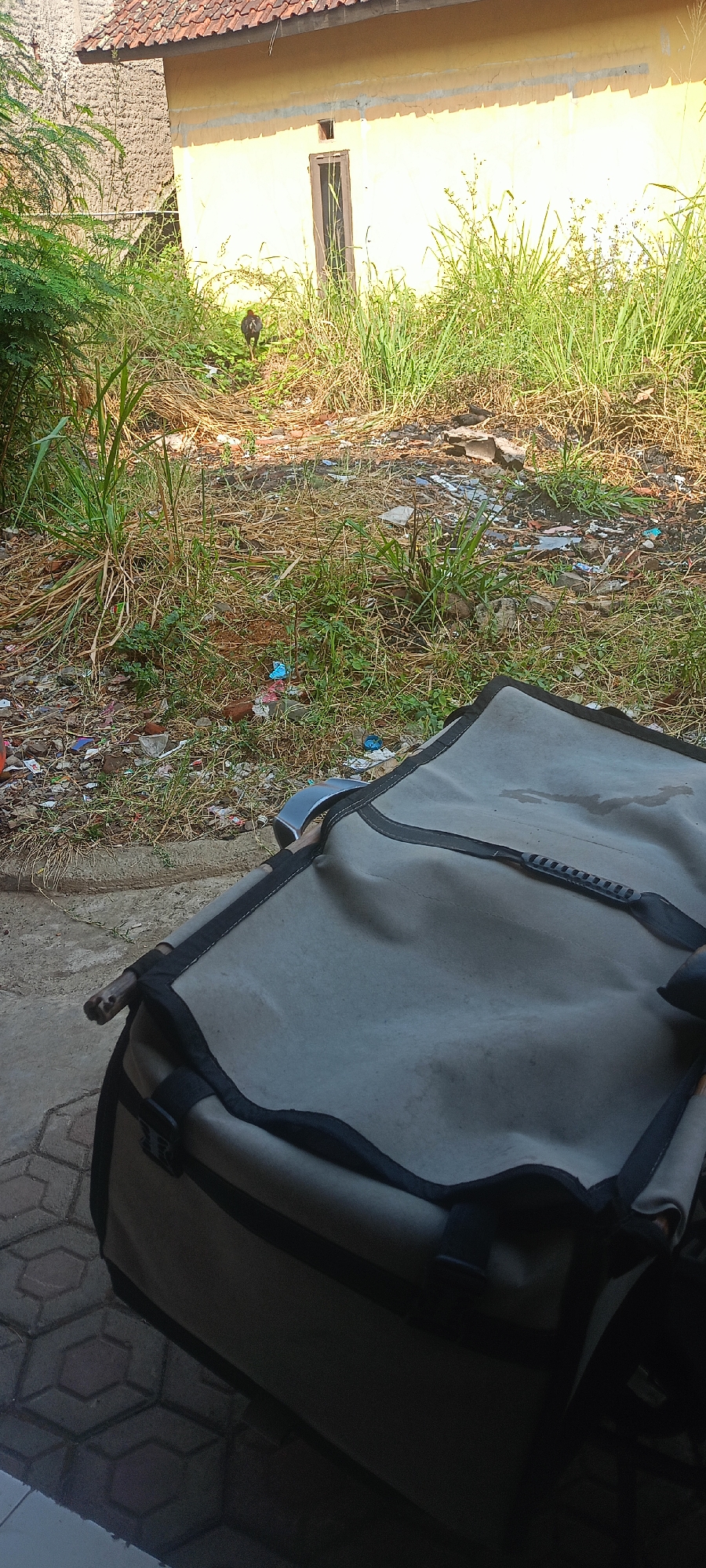 A dark gray canvas bag with black trim is positioned in the foreground, partially obscuring a scene of overgrowth and disarray. The bag appears to be part of a motorcycle or bicycle saddlebag, with a wooden handle protruding from the left side. Behind the bag, the ground is covered in dry grass, scattered debris including what appears to be plastic trash and broken bricks, and some green weeds. In the middle ground, a small, dark-colored bird, possibly a chicken or fowl, is visible amidst the grass, facing away from the viewer and towards a light-colored building. The building, which has a red tiled roof and yellow walls, features a narrow, dark-colored door and a small square vent near the top. To the left of the building, a rough stone wall is visible. The environment suggests an outdoor area, likely in a less-maintained part of the city, consistent with the described location in Margahayu Selatan, Indonesia.