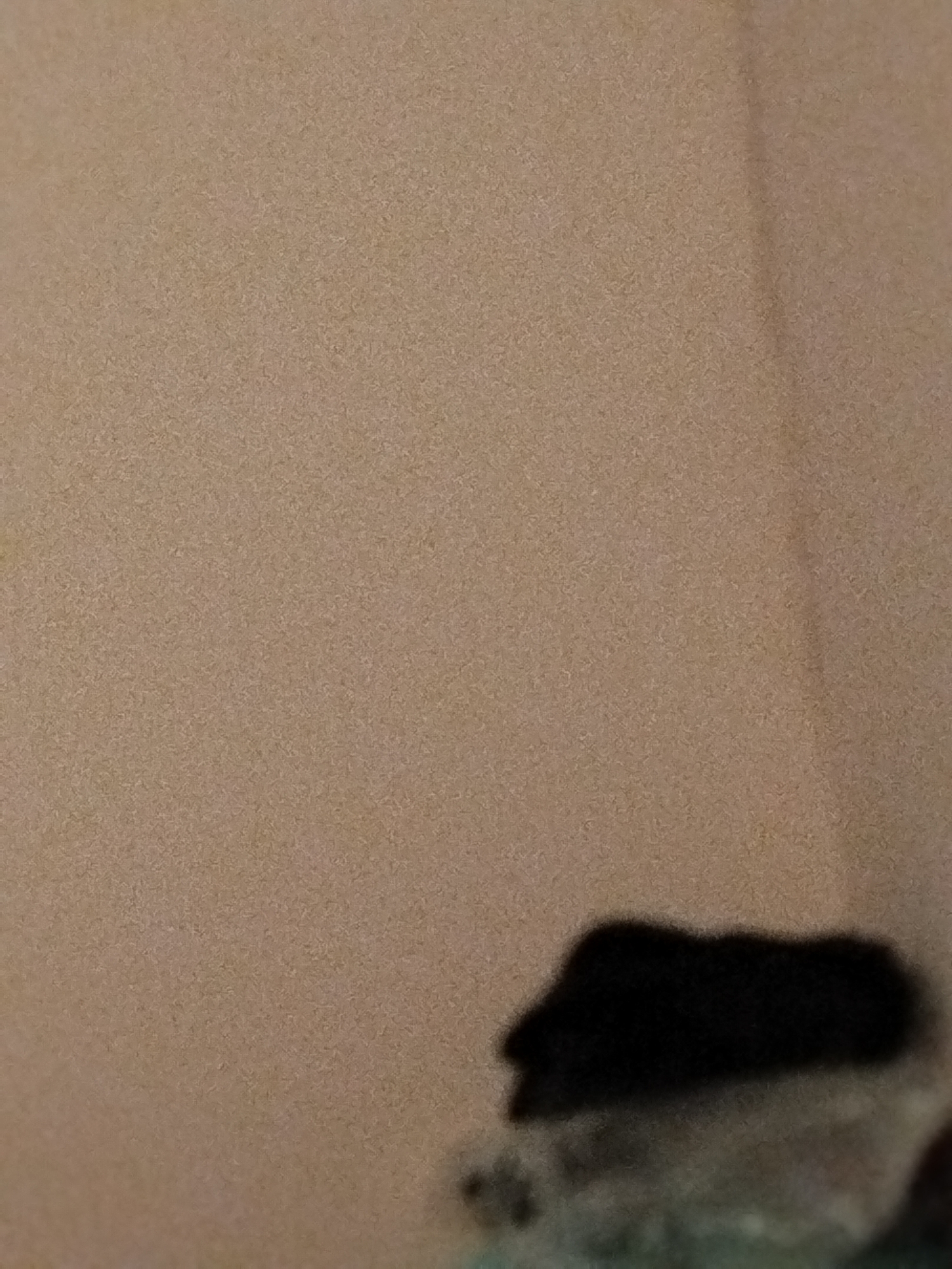 The image displays a close-up, slightly out-of-focus view of a textured, light brown surface, possibly a wall or fabric. In the lower right portion of the image, a dark, amorphous shadow is visible. The background is uniformly textured and appears to be indoors, with no identifiable external elements of the city of Lassan, Pakistan.