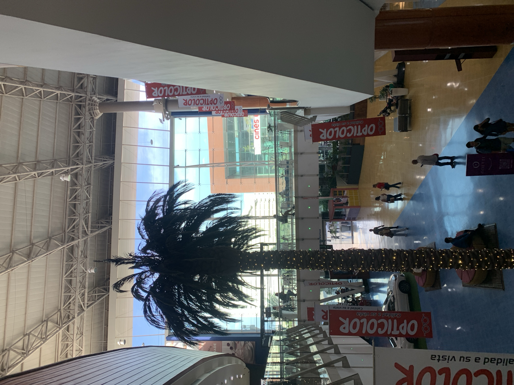 Here's a detailed description of the image:
**Overall Scene:** The image appears to be taken from a high vantage point inside a large shopping mall or commercial center. The orientation of the image is somewhat off, making it appear as if the scene is rotated.
**Location:** The OCR text in the image shows various signs for "OPTICOLOR".
**Architecture and Environment:** The building has a high, metal-framed roof structure. Large windows bring in daylight. A tall palm tree stands in the center, decorated with lights.
**Objects:** There are numerous signs advertising "OPTICOLOR", a car is on display, several benches and potted plants.
**People:** Several people are visible walking, sitting, and shopping within the mall.
