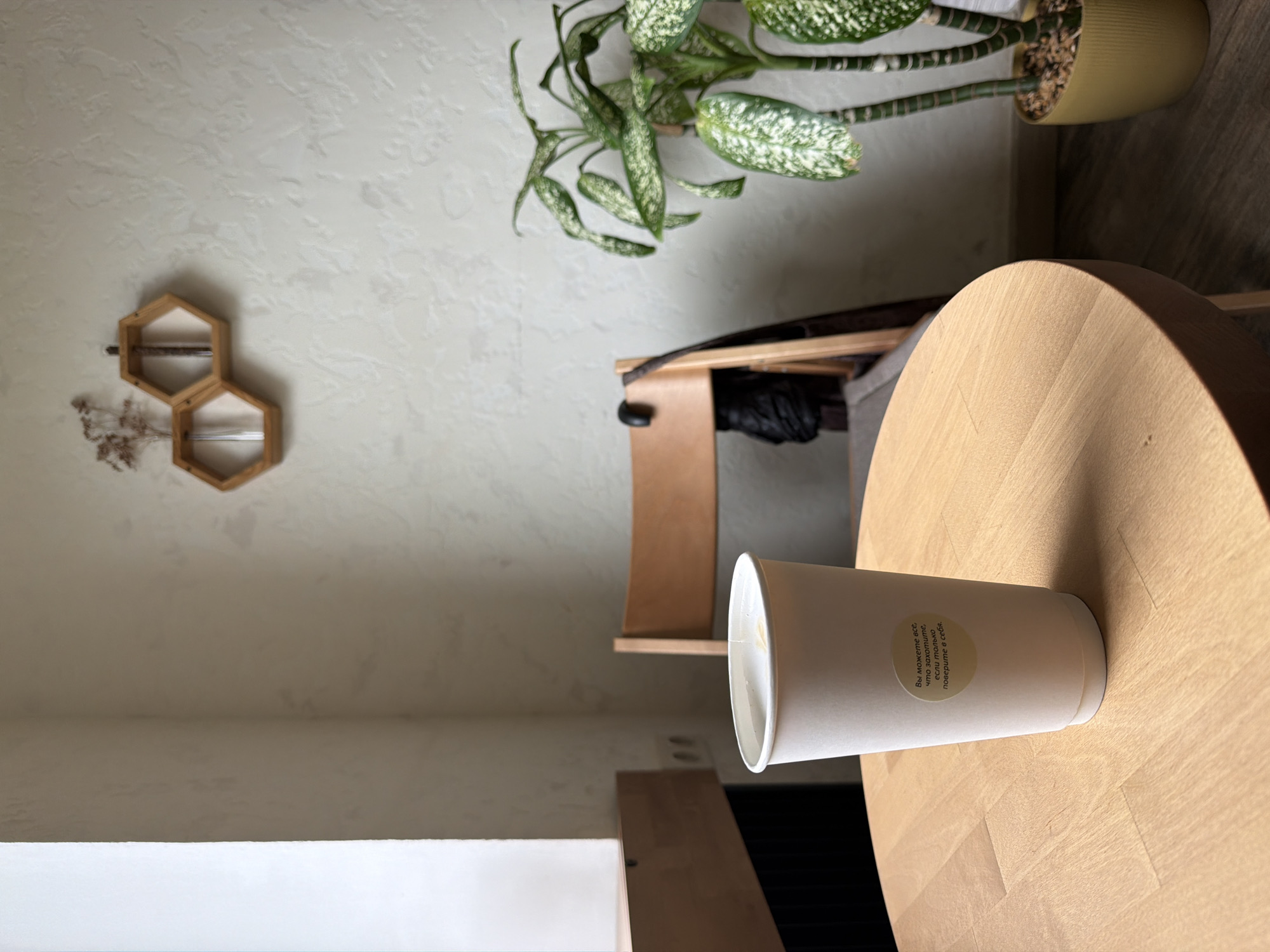 This indoor shot, taken in Chaikovsky, Russia, showcases a minimalist interior. A light-colored, possibly plastered wall forms the backdrop, adorned with a geometric wooden wall decoration holding dried sprigs. A potted Dieffenbachia plant sits atop a wooden structure in the upper right. A light-colored round wooden table occupies the right foreground, holding a white paper coffee cup with a small, circular sticker featuring Cyrillic text. Part of a wooden chair is seen behind the table. The overall ambiance suggests a café or domestic setting.
