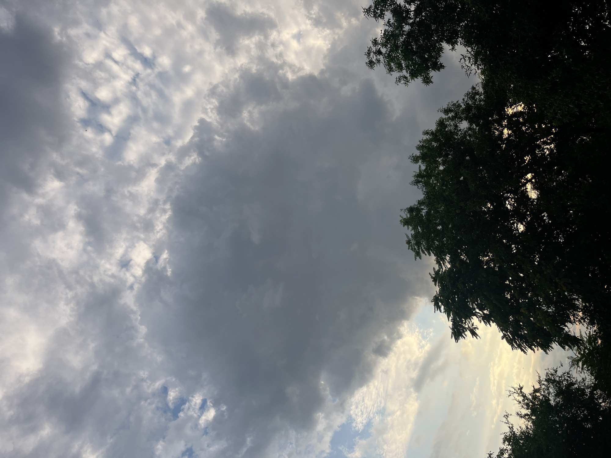 The image captures a dramatic sky from a low-angle perspective, looking upwards. Dominating the frame are thick, dark clouds that create a sense of impending weather change, possibly rain or a storm. These heavy clouds are interspersed with lighter, wispy formations, and patches of bright sky, suggesting a dynamic atmosphere. Sunlight filters through in some areas, creating a luminous glow behind the denser cloud cover, particularly on the right side of the image where it casts a warm, yellowish light.
Silhouetted against this sky are the dark green leaves and branches of trees along the top and right edges of the frame. These trees frame the sky, providing a natural border to the celestial display. The foliage appears dense, suggesting a lush natural setting, possibly a park or a backyard in Plovdiv, Bulgaria.
The lighting suggests it is either early morning or late afternoon, given the low angle of the sun and the mix of bright and shadowed areas. The overall mood conveyed by the image is one of nature's power and beauty, with the dramatic clouds and the interplay of light and shadow evoking a sense of awe and perhaps a touch of foreboding. There are no people, objects, or visible text in the image.