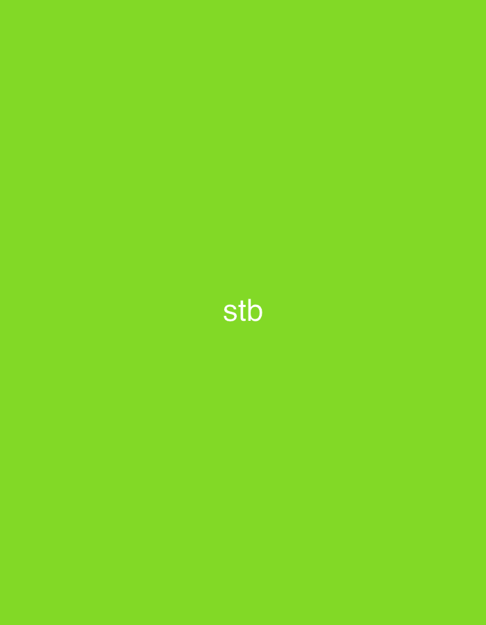 The image displays a uniform, solid lime green background. In white lowercase letters, the text "stb" appears twice: once positioned centrally on the screen, and a second identical "stb" is located in the upper right quadrant of the image. There are no discernible people, objects, actions, interactions, or environmental features that would indicate a specific geographical location, such as the city of Casablanca, Morocco.