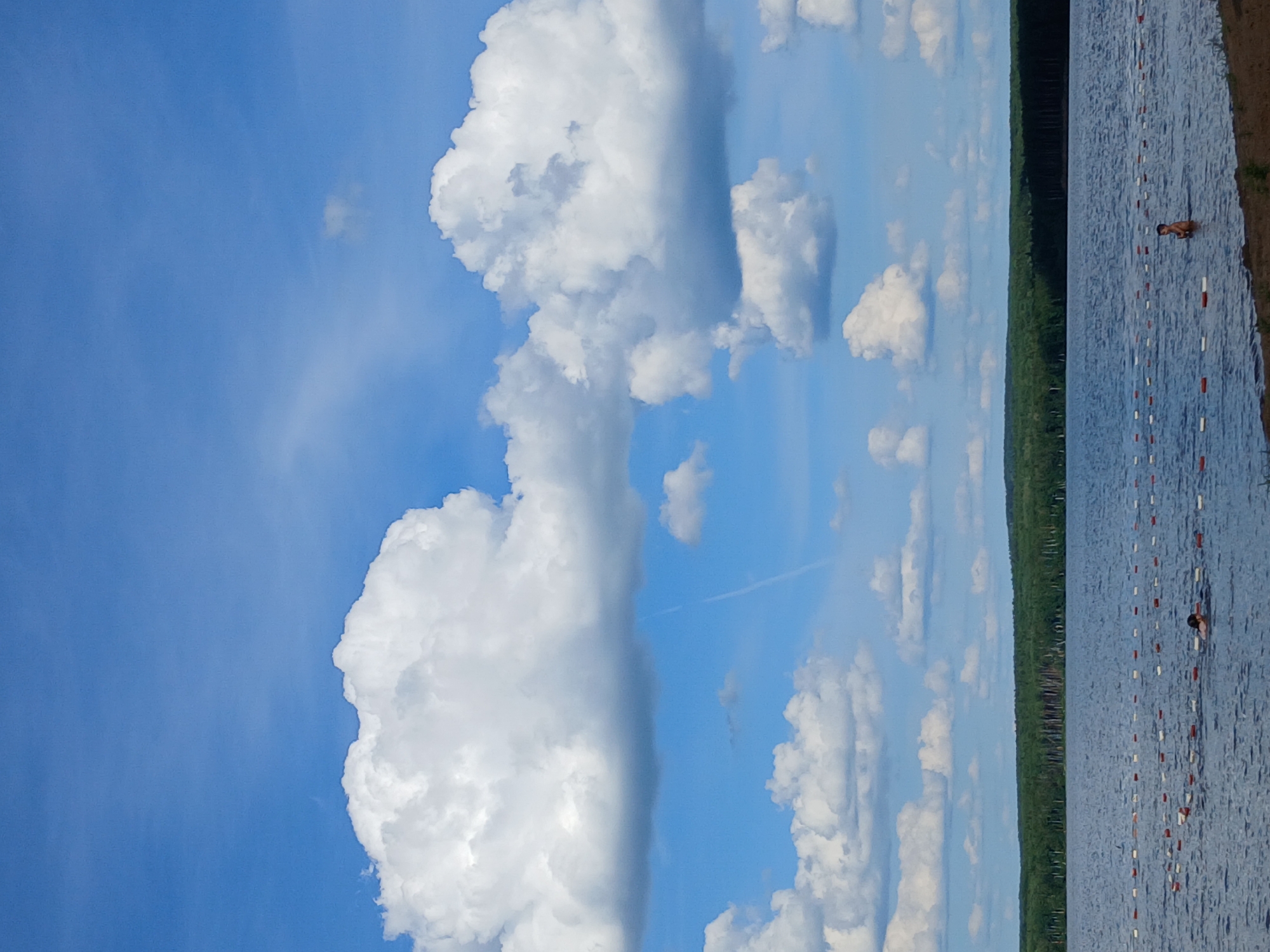 This is a vertical, medium-angle, outdoor photograph of a lake on a sunny day. The sky is bright blue with large, fluffy white clouds. The lake is calm and reflects the sky. There is a thin line of trees in the background, suggesting a wooded area. In the foreground of the lake, a person is wading in the water, near a series of buoys. The buoys are spaced out and appear to be either red and white or white and red, marking an area of the lake. The water has ripples and appears to be clear. The sun is shining, creating a bright and cheerful atmosphere. There is no visible text in the image. The scene depicts a typical summer day at a lake, possibly a recreational area for swimming or boating.