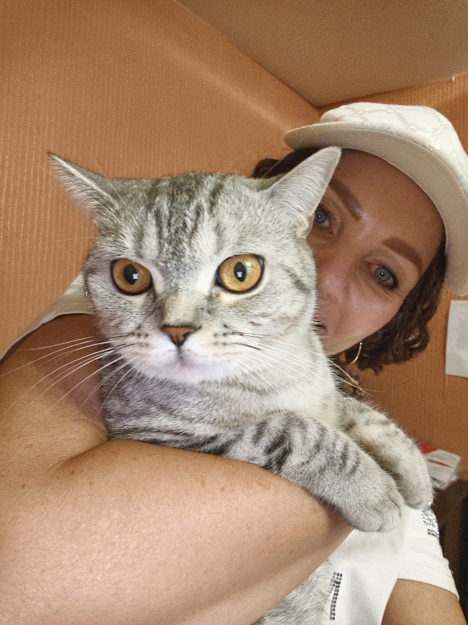 A person wearing a white hat holds a grey tabby cat. The person's face is partially obscured by the cat, but their blue eyes and brown hair are visible. The cat has large, round yellow eyes and is looking directly at the camera. The background is an orange textured wall. The image appears to be a selfie taken indoors.