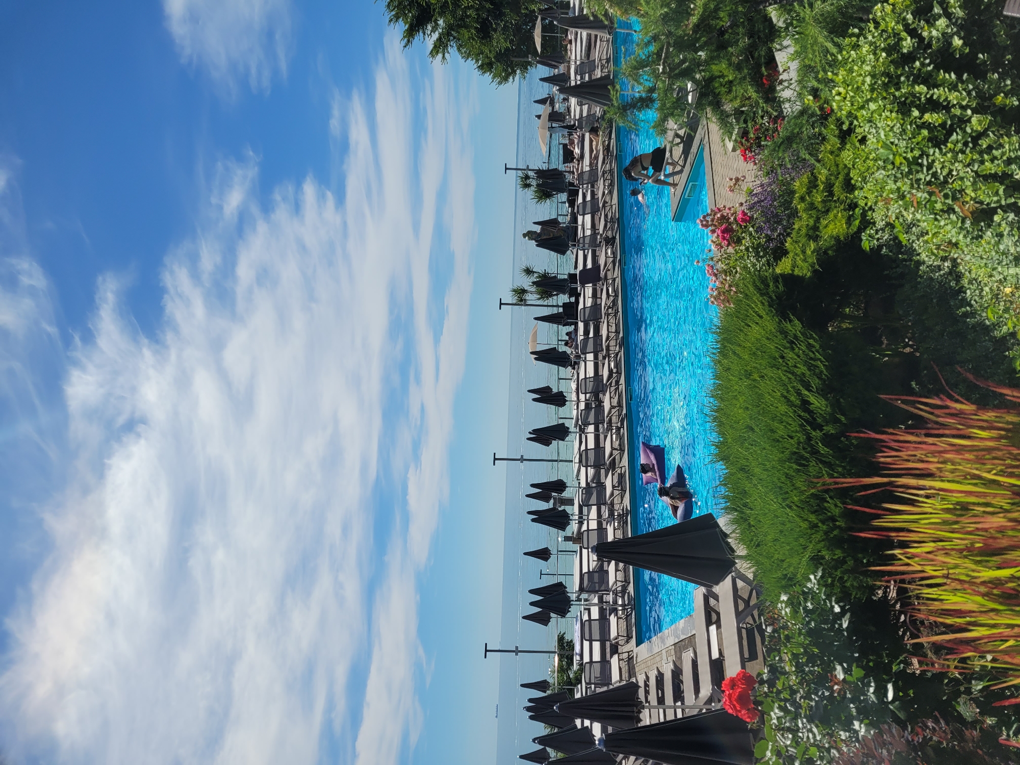 This is a landscape, vertical, full shot of a poolside resort area on a clear day with a bright blue sky and scattered white clouds. In the foreground, lush green bushes and flowering plants, including red roses, line the edge of the frame. Beyond the foliage, a large, rectangular swimming pool with bright blue water is visible, surrounded by a paved deck. Numerous lounge chairs are set up around the pool, many with closed black umbrellas. Several people are in or near the pool, with two individuals on an inflatable raft and another person sitting on a lounge chair at the edge of the pool. The middle ground shows a clear horizon where the pool area meets the calm, blue sea. A few distant ships are visible on the water. The background is dominated by the vast expanse of the sky.