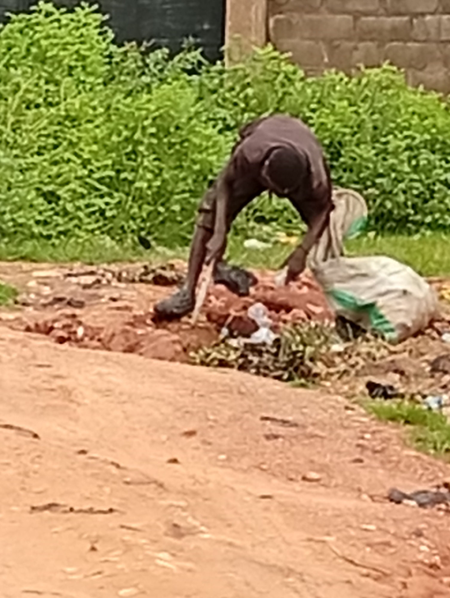 The image depicts a person, likely a man, bent over and engaged in sorting through discarded materials. The individual is wearing a dark-colored garment and appears to be wearing dark footwear. To the right of the person, there is a large white and green plastic bag, partially filled with what seems to be collected refuse. The ground is a mixture of reddish-brown dirt and debris, with patches of green vegetation visible in the background. Behind the vegetation, a section of a brick wall is present. The scene suggests an outdoor environment, possibly a waste collection or informal recycling area within the city of Tumfure, Nigeria.