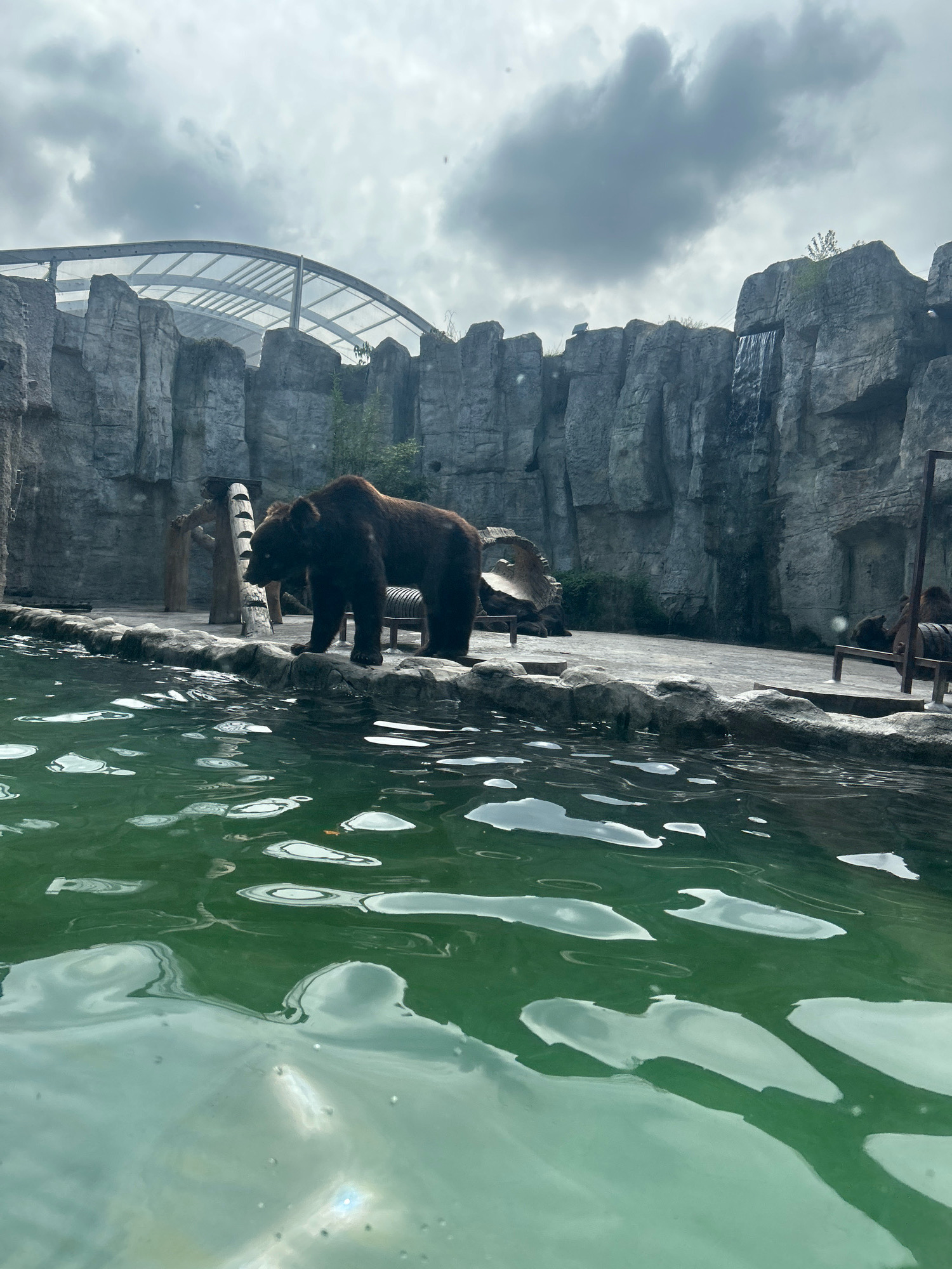 A brown bear stands on the rocky edge of a pool of green water. Behind the bear, artificial rock formations mimic a natural cliff face, complete with a small waterfall. A curved, translucent roof structure covers part of the enclosure. In the background, other bears can be seen resting on benches. The scene appears to be an exhibit at a zoo or wildlife park, designed to resemble a natural habitat for the animals. The sky above is cloudy.