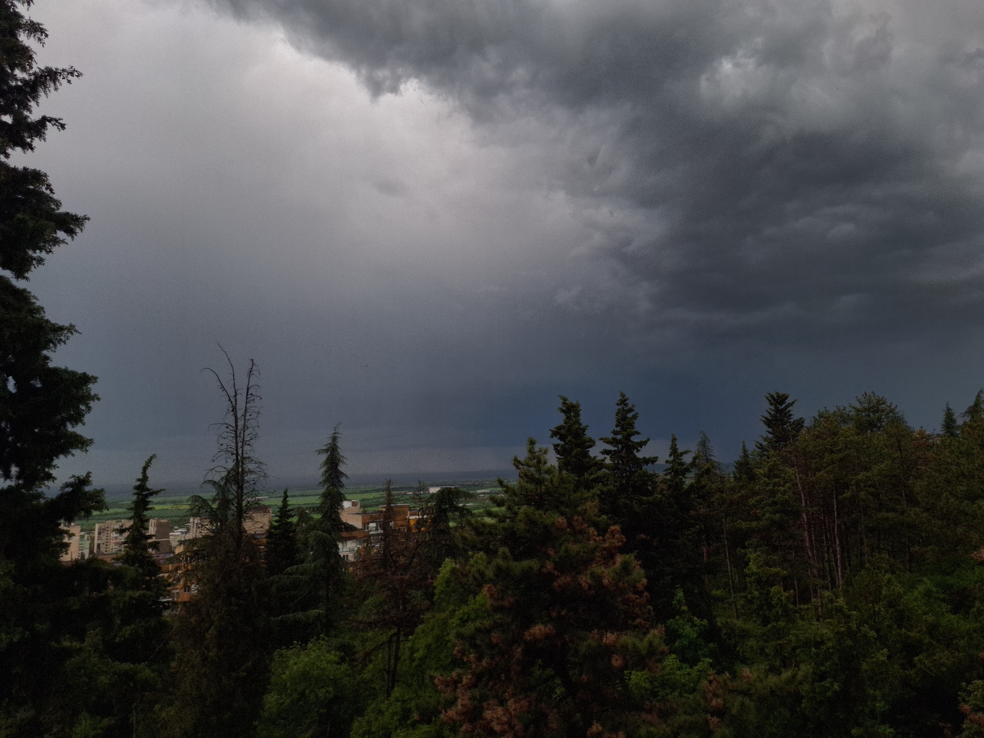 The image presents a landscape under a stormy, dark sky. The foreground is dominated by a dense collection of trees, varied in type and height. Some buildings are visible in the distance between the trees. The sky is filled with dark, ominous clouds. The overall environment suggests an urban area on the edge of or surrounded by forested areas.