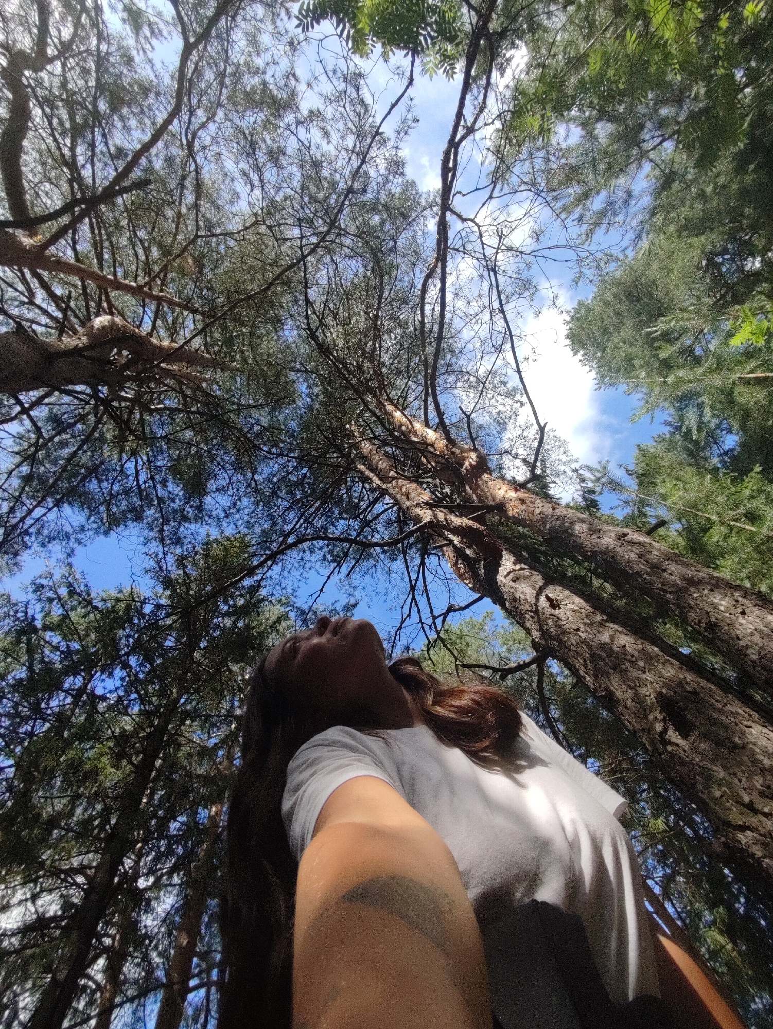 A low-angle outdoor shot shows a person looking up towards the sky through a canopy of trees. The person, wearing a white t-shirt, has long dark hair and their arm is visible in the foreground. The trees are tall and their branches create a natural frame against the blue sky with some white clouds. The scene appears to be in a natural environment, possibly a forest or park.