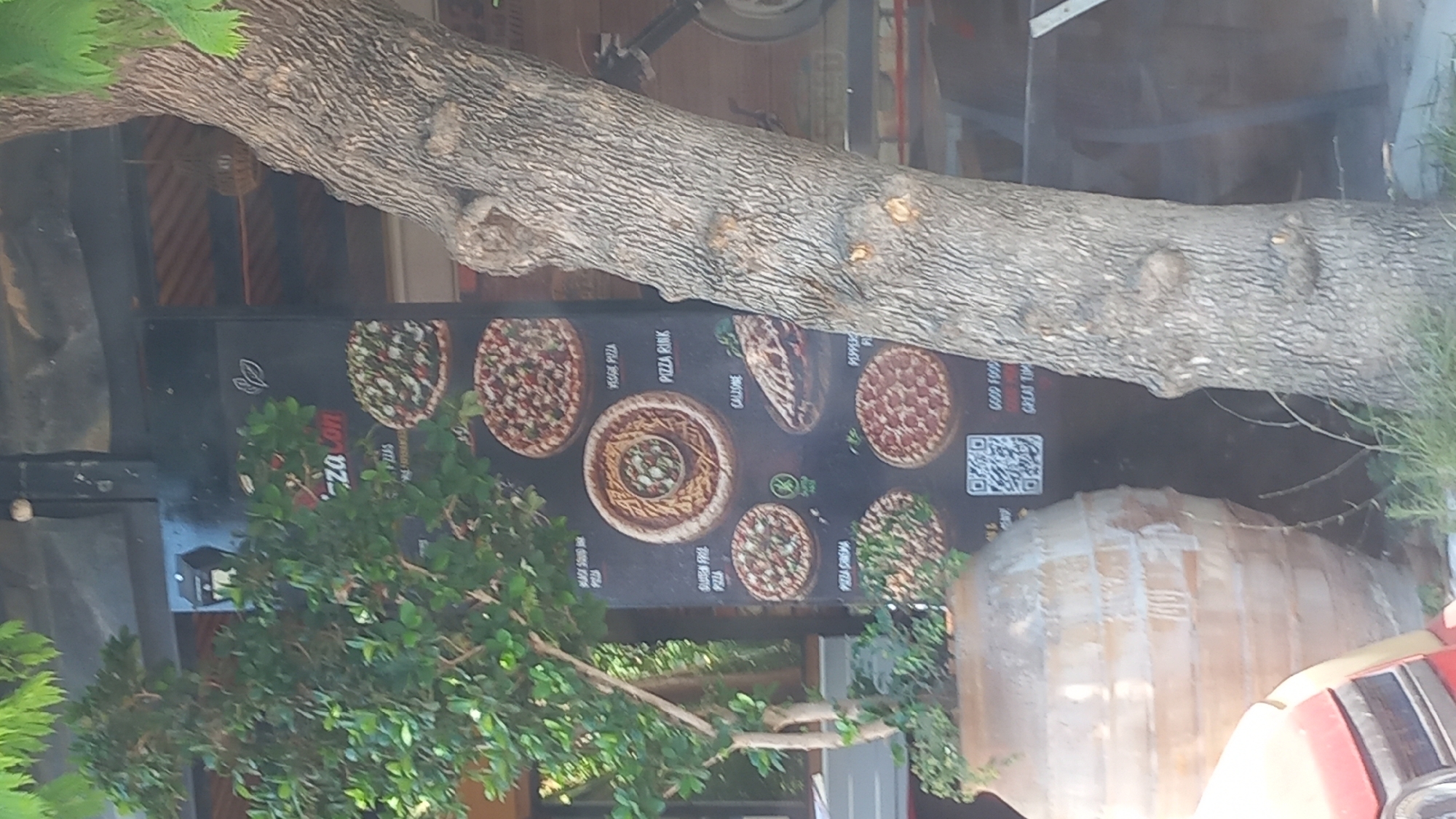 In Kos, Greece, a vertical menu board displays various pizzas with accompanying images. At the top, "Pizza Con" is visible in red lettering with a green leaf logo. Below this, several pizzas are pictured and labeled, including "Black Squid Ink Pizza", "Veggie Pizza", "Pizza Rink", "Gluten Free Pizza", "Calzone", "Pizza Crema", and "Pepperoni Pizza". A QR code is present near the bottom of the board. To the left of the menu board, a large terracotta pot with a leafy plant sits in front of a portion of a red vehicle. To the right, a thick tree trunk with textured bark dominates the scene. The background suggests an outdoor setting, possibly a restaurant, with some wooden structures and roofing visible.