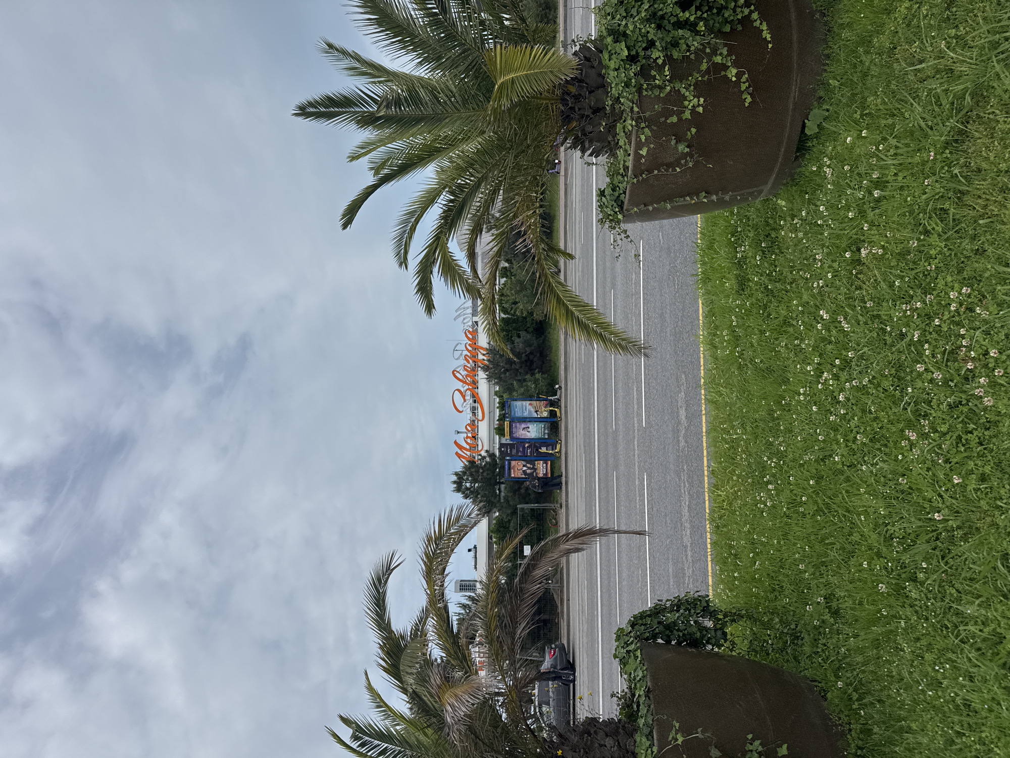 The image shows a street in Sirius, Russia, leading towards a large building with the orange "Magz Siberia" sign on top. The sky is cloudy. The street has white lane markings and a yellow dividing line on the right side. Palm trees in large pots are positioned on either side of the street. Green grass with small white flowers covers the ground to the right of the road. People and scooters are visible further down the street, near the "Magz Siberia" building, alongside advertising billboards. A car is driving on the street below the palm trees.