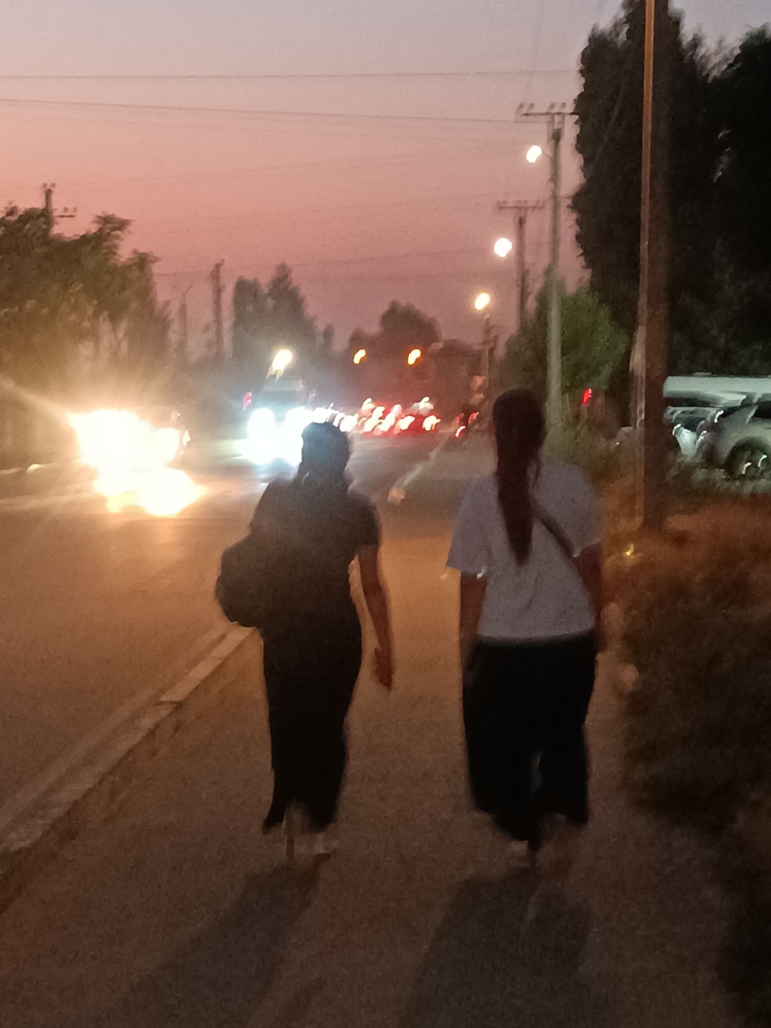 Two individuals are walking on a paved sidewalk next to a road at dusk in an unspecified urban location. The sky is a soft pink and orange gradient, suggesting the sun has recently set. Streetlights are visible along the road, and car headlights illuminate the scene from oncoming traffic. The individual on the left is wearing dark clothing and carrying a bag over their shoulder. The individual on the right is wearing a white t-shirt and dark pants, with a strap from a bag or accessory visible across their chest. Trees and utility poles line the side of the road. In the background, there are blurred shapes of buildings and parked vehicles. The overall atmosphere is dimly lit and quiet.