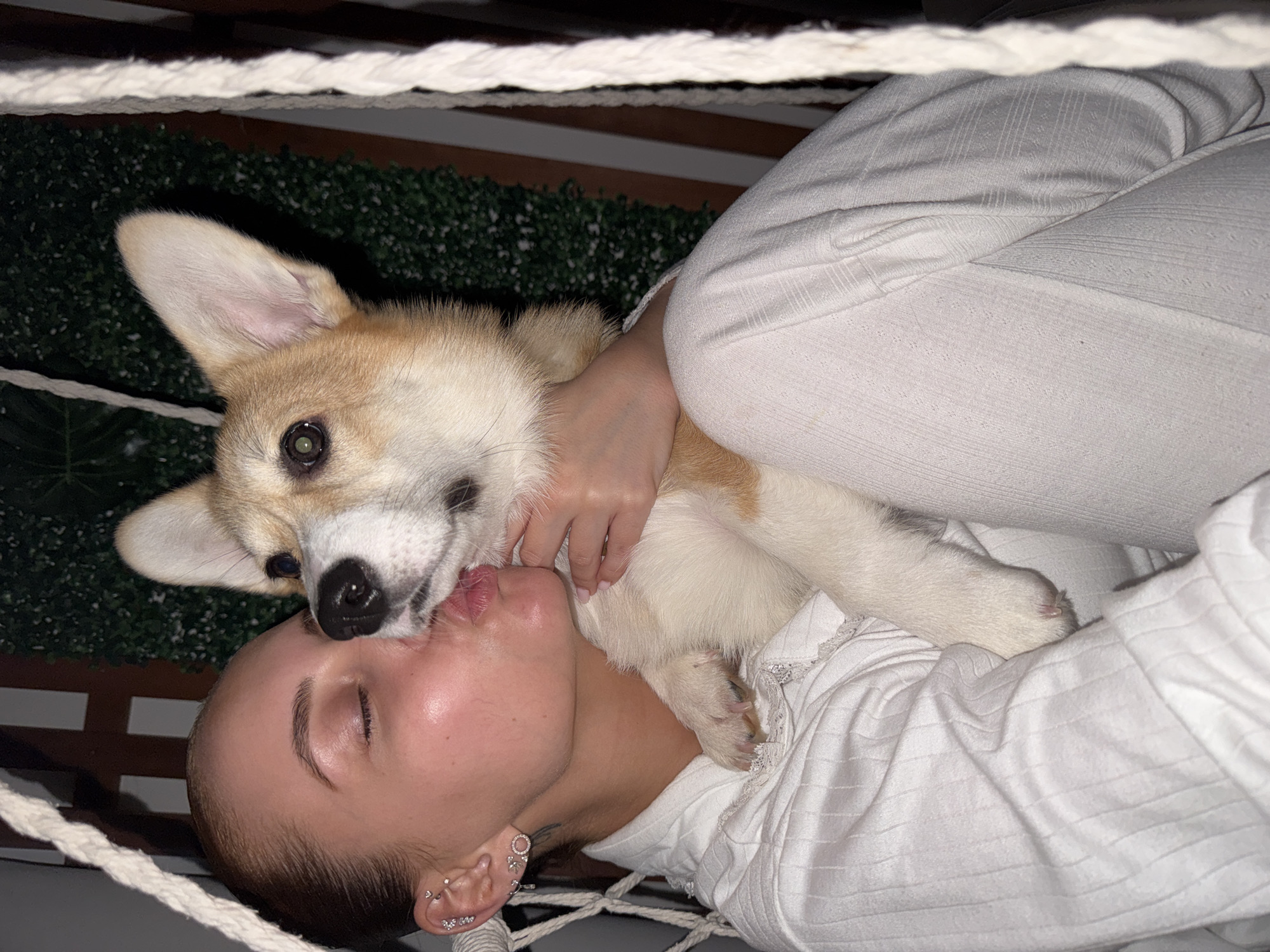 A close-up image captures a person affectionately interacting with a Pembroke Welsh Corgi. The person is lying down, their eyes closed, and wearing light-colored, possibly white, textured clothing. Their right ear is visible, featuring multiple piercings. A tan and white Corgi is resting on the person, with its front paws gently placed on the person's arm and shoulder, in an embracing posture. The dog's snout is positioned near the person's mouth, suggesting a kiss or lick. The Corgi's eyes are open and directed towards the viewer.
The setting appears dimly lit, indicating evening or nighttime. In the background, there is a dark, slatted structure and a green, textured surface, possibly artificial greenery or hedges. A thick white rope crosses both the foreground and background, potentially part of a hammock or decorative element. The image is rotated counter-clockwise. The overall mood is one of warmth, affection, and intimacy between the individual and their pet. No text is visible in the image. This scene is located in Chaikovsky, Russia.