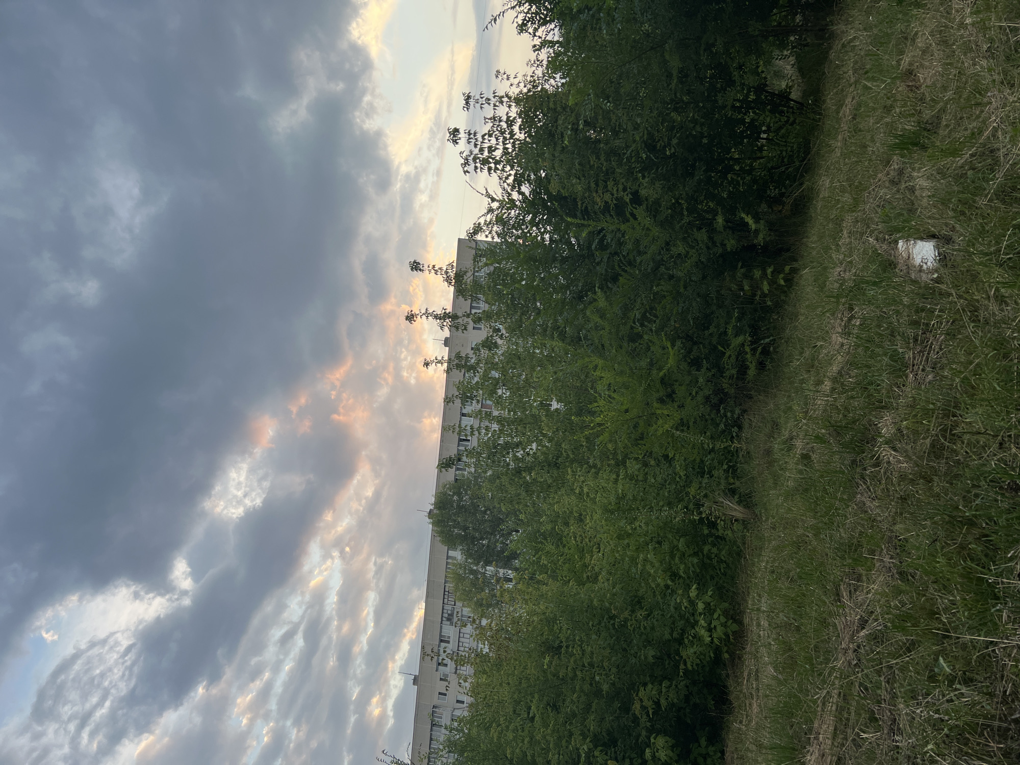 The image depicts a slightly overcast sky with clouds displaying hints of pink and orange from the setting or rising sun. Below the sky is a multi-story apartment building, its facade visible above a dense line of green trees and bushes. The foreground consists of a grassy area with dry grass and a white object, possibly litter, on the ground. The scene appears to be a residential area in Ulyanovsk, Russia, characterized by typical urban greenery and a large apartment block. There are no people or animals visible in the frame.