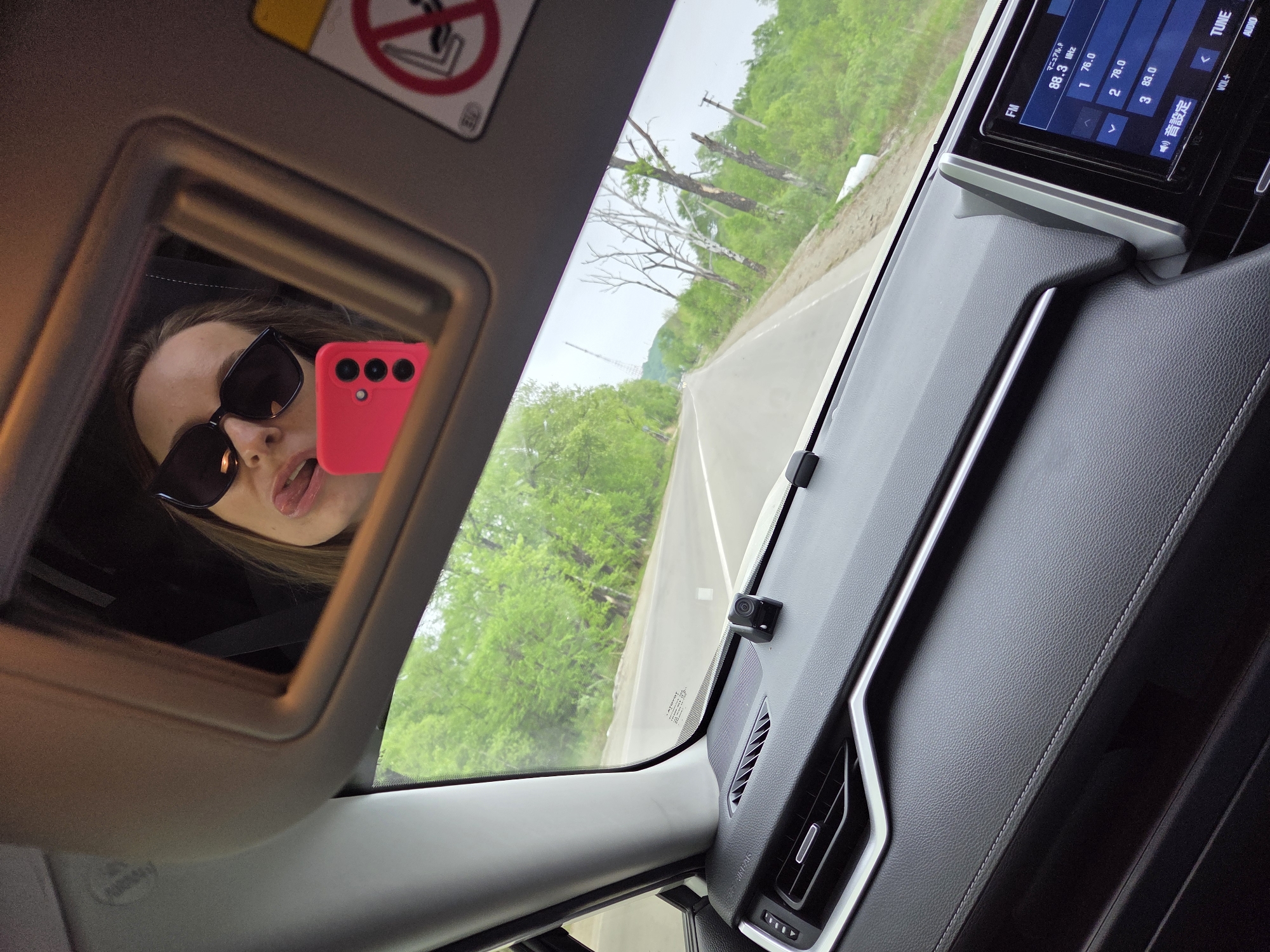 The image shows the interior of a car, with the perspective likely taken from the driver's seat. Reflected in the sun visor mirror is a person wearing sunglasses and holding a pink phone; their tongue is slightly out. The car is driving on a road lined with green trees. The dashboard is visible, including the car's radio/display screen and air vents. The screen shows radio station frequencies including 88.3 MHz. A small camera is mounted on the dashboard near the windshield. The car appears to be moving based on the blurred scenery outside the windshield. There is no evidence in the image to confirm it is located in Birobidzhan, Russia.