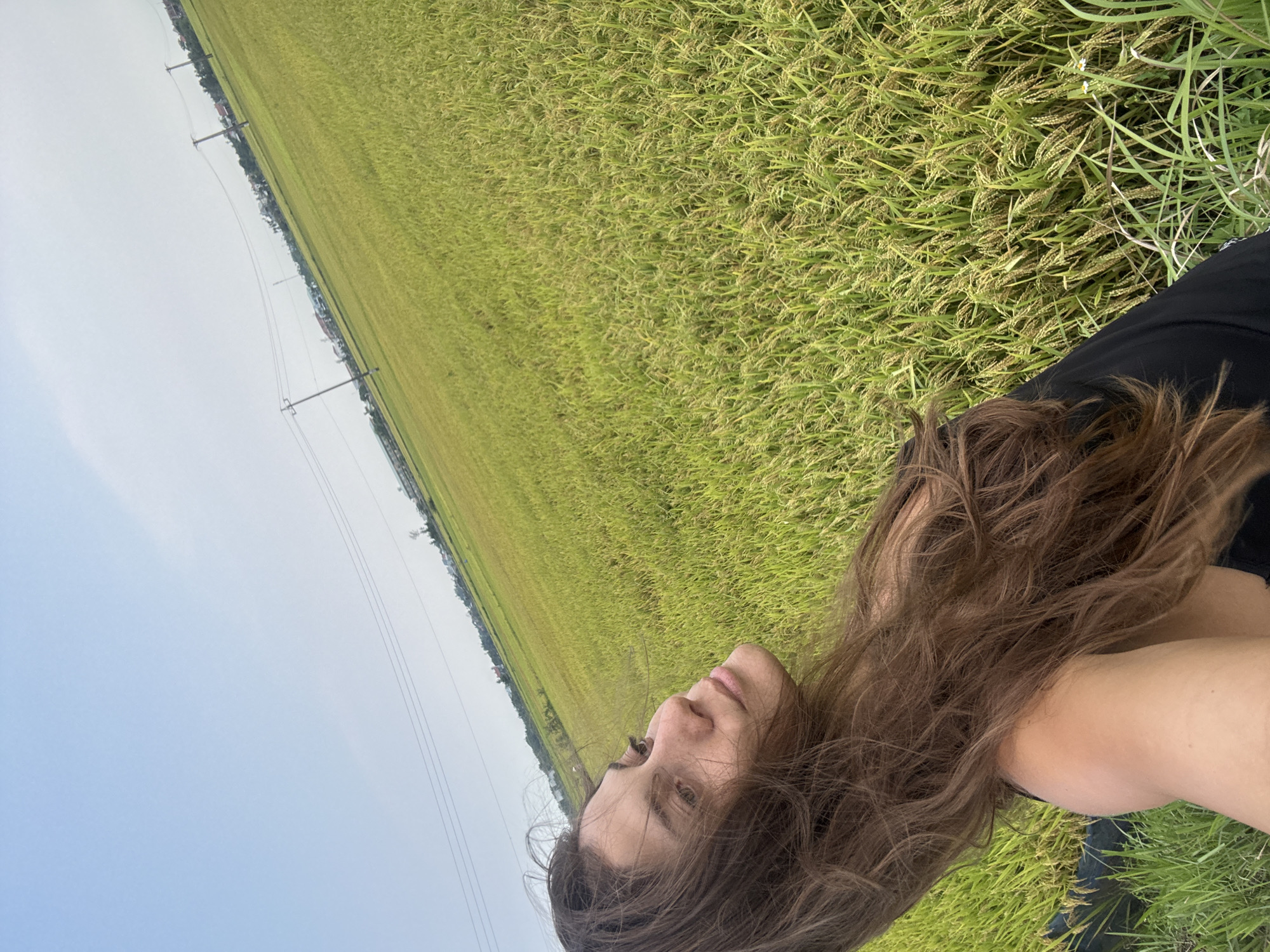 The image captures a person amidst an expansive green field, likely a rice paddy, under a bright sky in Đà Nẵng, Vietnam. In the foreground, positioned in the lower right, is a woman with long, wavy dark brown hair. She is wearing a black top, and her face is shown in profile, looking slightly upwards with a neutral expression.
The vast majority of the frame is filled with lush, vibrant green crops, which appear to be rice, featuring densely packed stalks with developing grains. These fields extend far into the distance, suggesting an extensive agricultural area. Along the horizon line, which separates the fields from the sky, a series of utility poles with overhead wires can be seen, leading to faint structures or buildings in the far distance. The sky overhead is a soft, light blue, indicating daytime with clear or slightly hazy weather. No specific activity is depicted other than the woman posing for the photograph in this rural setting. There is no visible text in the image.