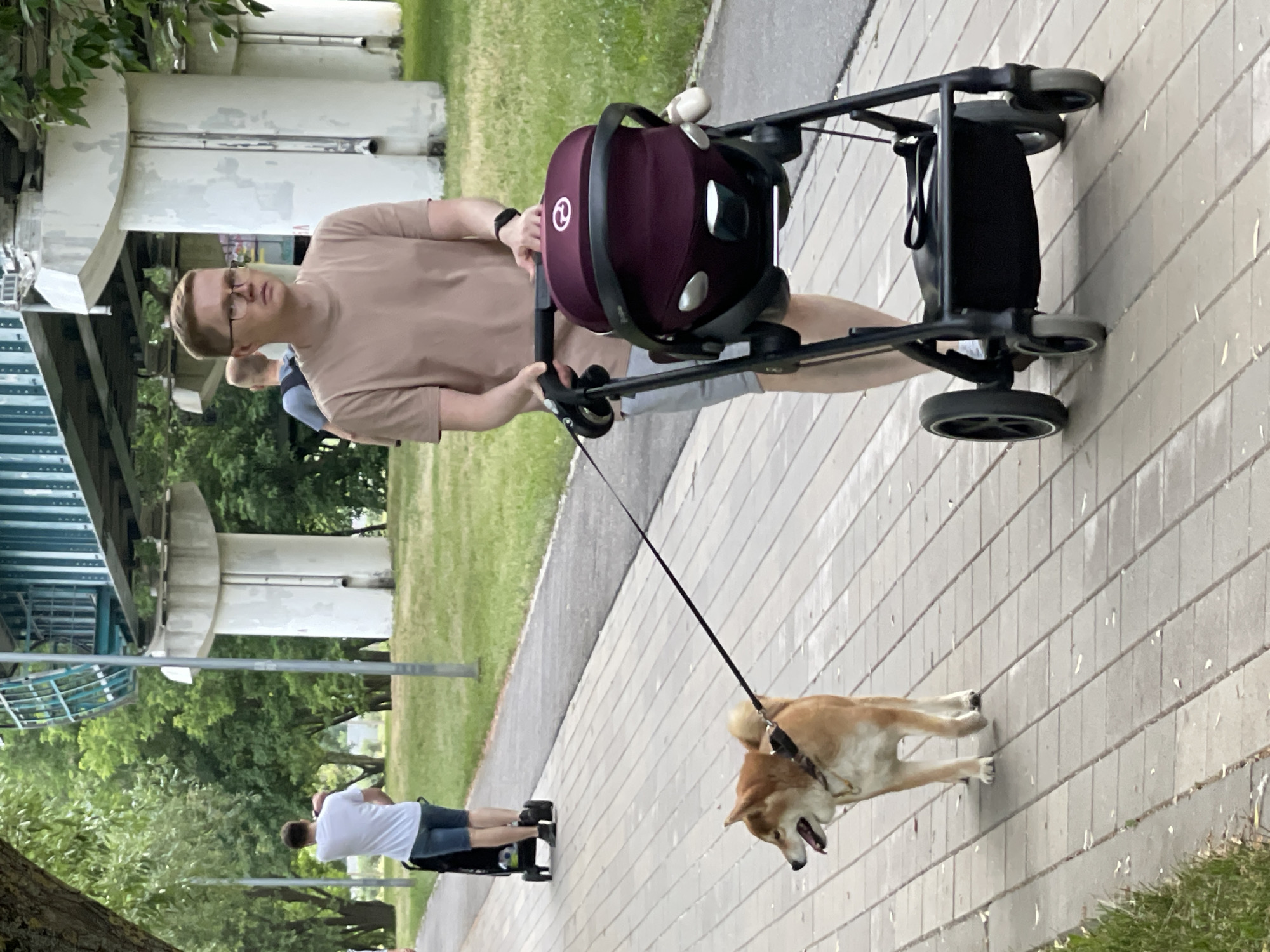 In a park setting in Moscow, Russia, a man wearing glasses and a tan t-shirt pushes a maroon baby stroller along a paved walkway. A brown Shiba Inu dog on a leash walks beside him, its tongue out. In the background, another person in a white t-shirt and denim shorts is on a scooter, and further behind, another person is visible. The environment features lush green trees, grass, and concrete pillars supporting an elevated structure.