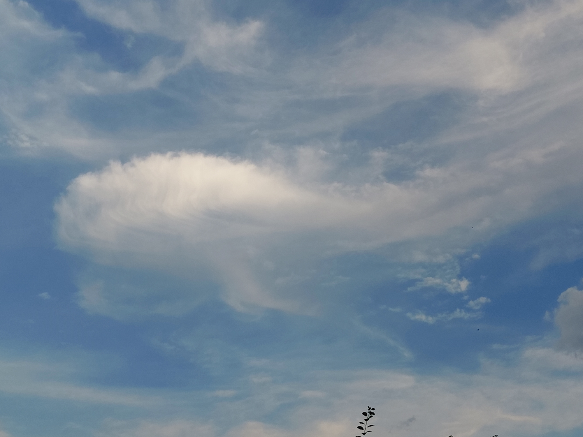 A sky filled with scattered white and gray clouds, illuminated by sunlight, with patches of blue sky visible. In the lower right corner, the tops of dark green foliage are visible, suggesting it's daytime. The scene appears to be an outdoor environment, likely a natural or semi-natural area, such as a park or a field on the outskirts of Podstyopnovka, Russia. There are no people or specific man-made structures clearly identifiable in the image.