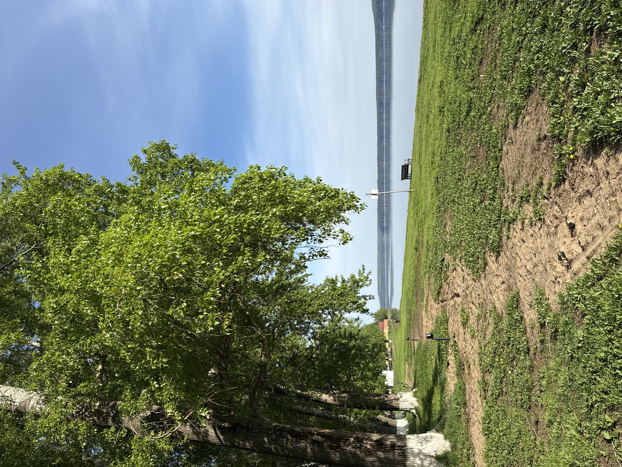 The image shows a view in Votkinsk, Russia. In the foreground, a large tree with green leaves stands beside a path paved with light-colored material. The path runs parallel to a dirt area with patches of green grass and vegetation. Further in the background, a body of water stretches across the scene, with what appears to be a dam or bridge structure in the distance. The sky is blue with light streaks of white clouds. A light pole with a fixture is visible amidst the vegetation. Beyond the dirt patch, there are more trees and possibly some buildings.