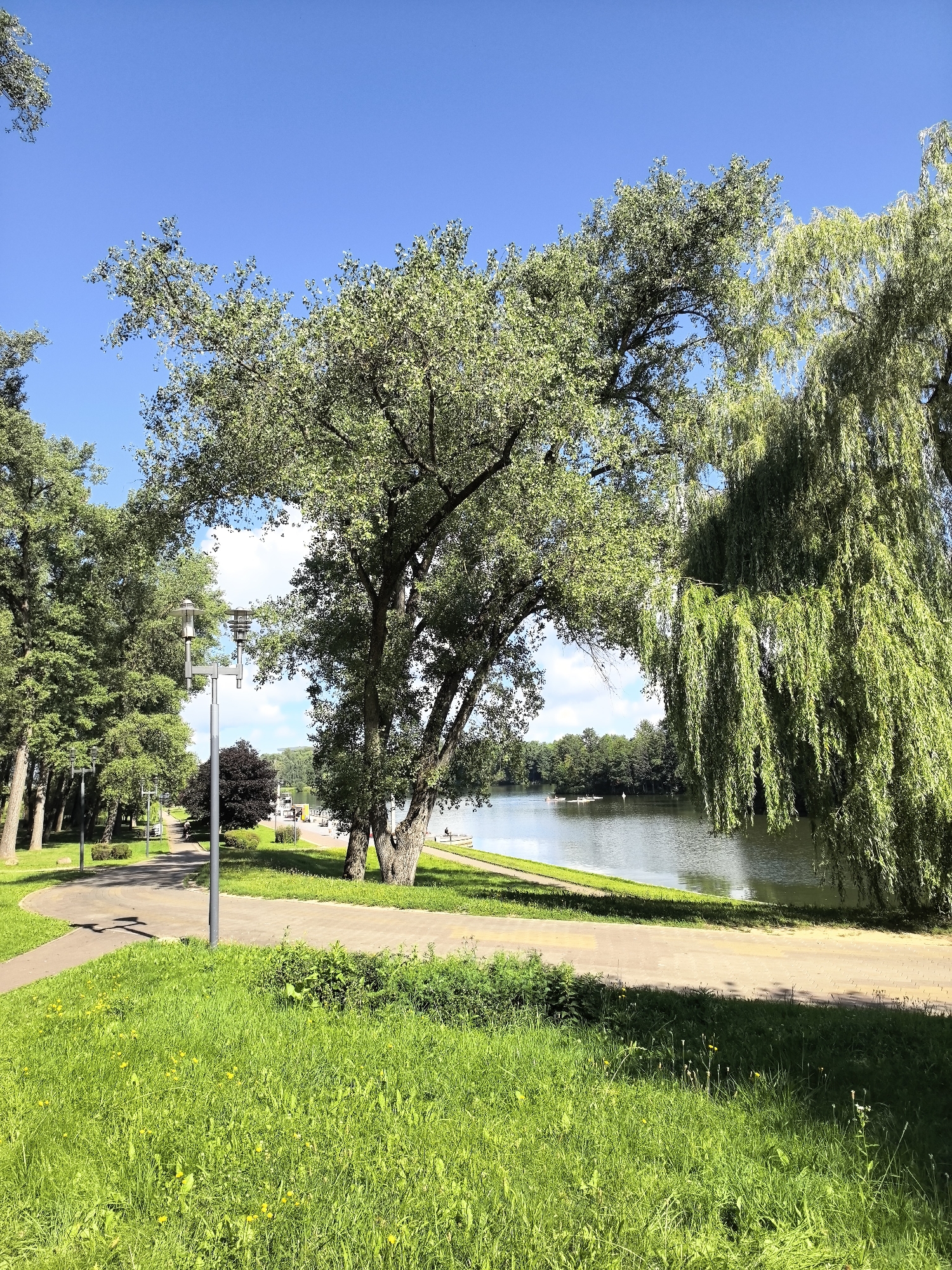 A landscape view shows a park with a pathway, a body of water, and trees under a clear blue sky. In the foreground, a lush green lawn with scattered yellow wildflowers is illuminated by sunlight. A paved pathway curves through the park, with a lamppost situated beside it. Beyond the pathway, a body of water reflects the blue sky and is bordered by trees on the far bank. A weeping willow tree with long, drooping branches dominates the right side of the image. Several other deciduous trees, some with full green canopies, are visible throughout the park. The overall scene depicts a serene outdoor environment, likely a park or recreational area.