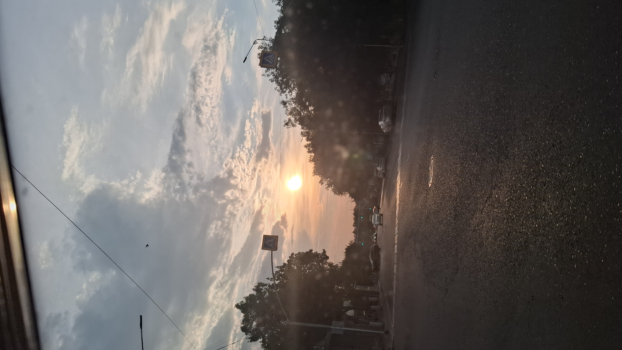 The image depicts a street scene in Shymkent, Kazakhstan, during sunset. The sun, a bright orange orb, is low in the sky, casting a warm glow that tints the clouds in shades of pink and orange. The sky is partly cloudy, with fluffy white and grey clouds scattered across it.
A road, appearing wet and reflecting the light, runs vertically through the right side of the frame. Several cars are visible on the road, suggesting moderate traffic. On the left side of the road, a pedestrian crossing sign with a blue diamond and a white walking figure is mounted on a pole. Tall trees with dense foliage line the road, creating a canopy effect in some areas.
The overall impression is one of a peaceful evening in an urban or suburban setting. The setting sun creates a serene and somewhat dramatic atmosphere, highlighted by the interplay of light and shadow. The wet road could indicate recent rain or a sprinkler system. No visible text other than the pedestrian crossing sign.