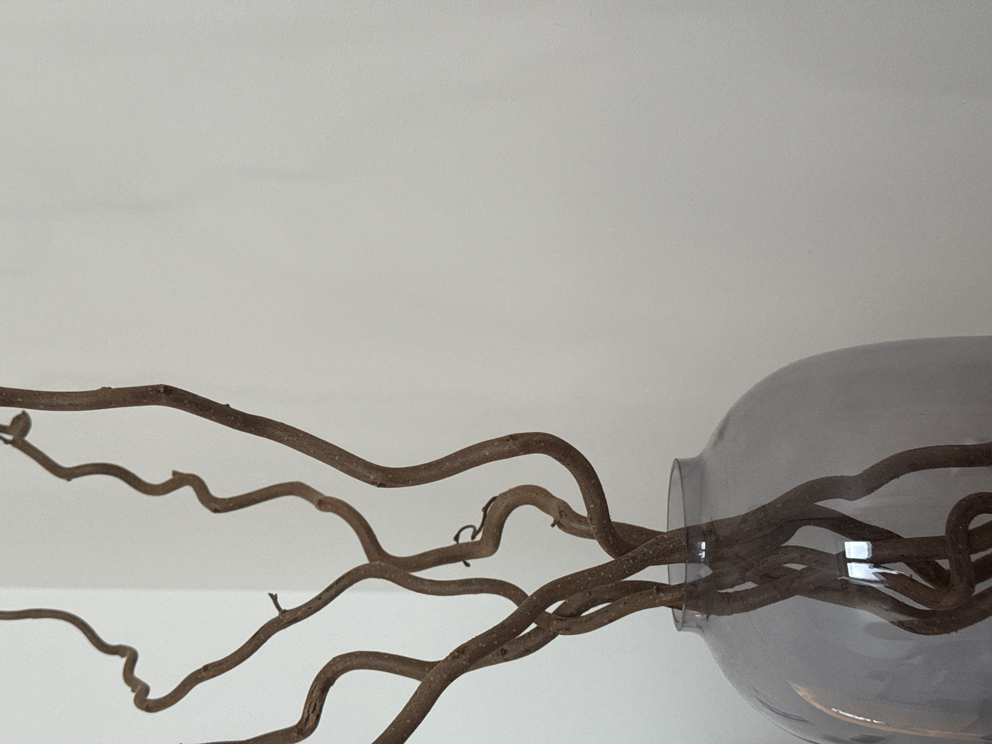 A horizontal indoor shot shows twisted, brown branches in a transparent, bulbous glass vase against a white wall. The location is not discernible from the image.